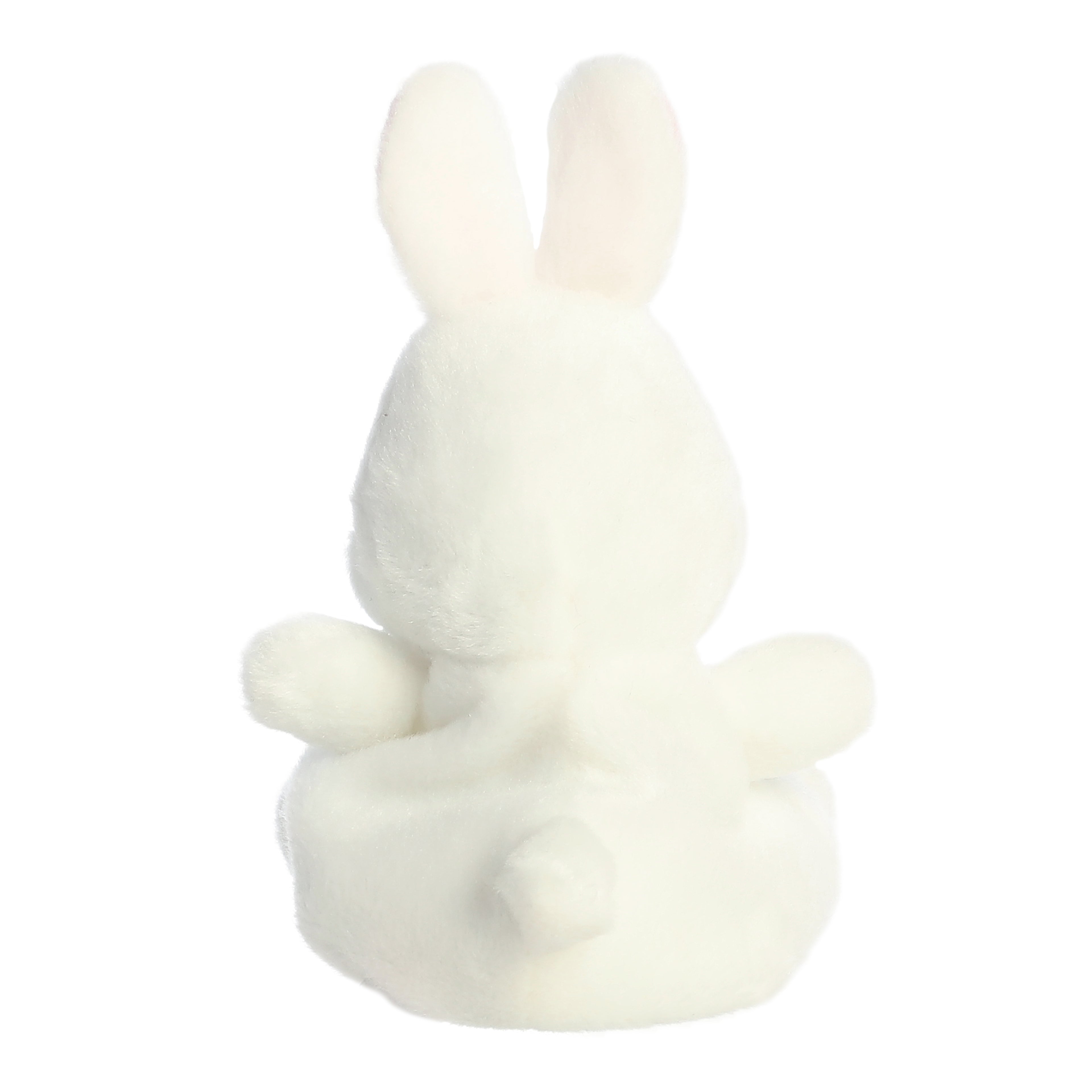 Cottontail Bunny