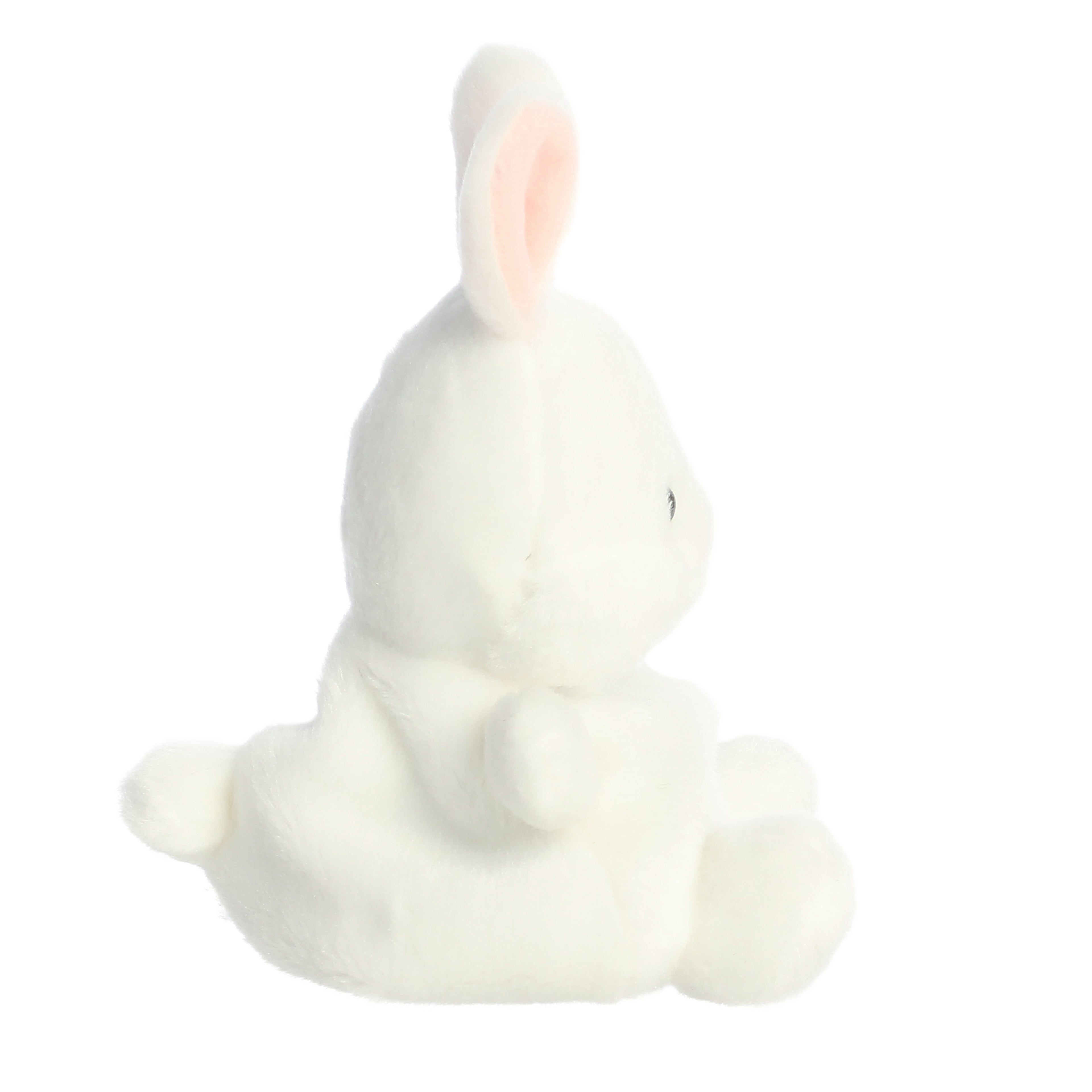 Cottontail Bunny