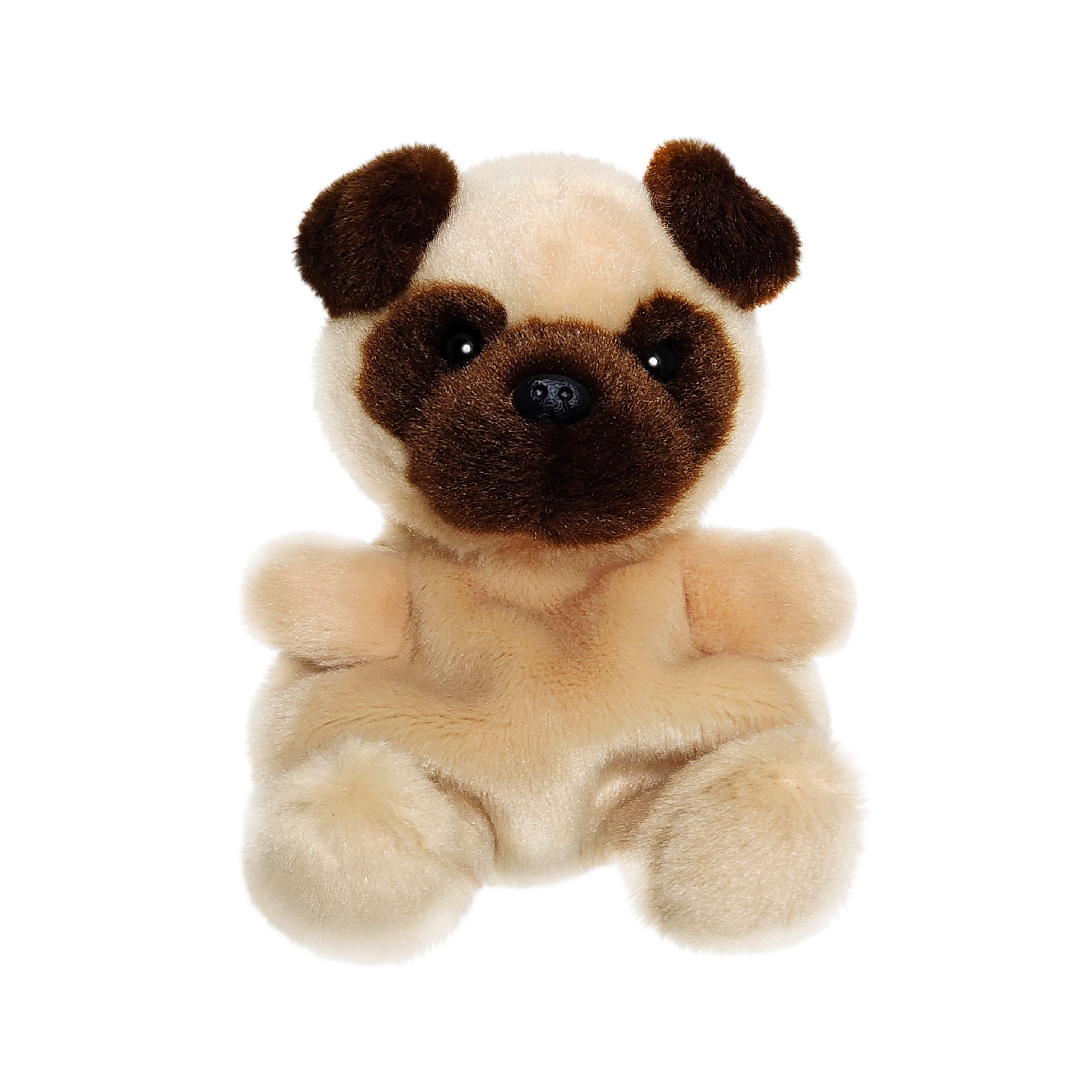Frankie Pug