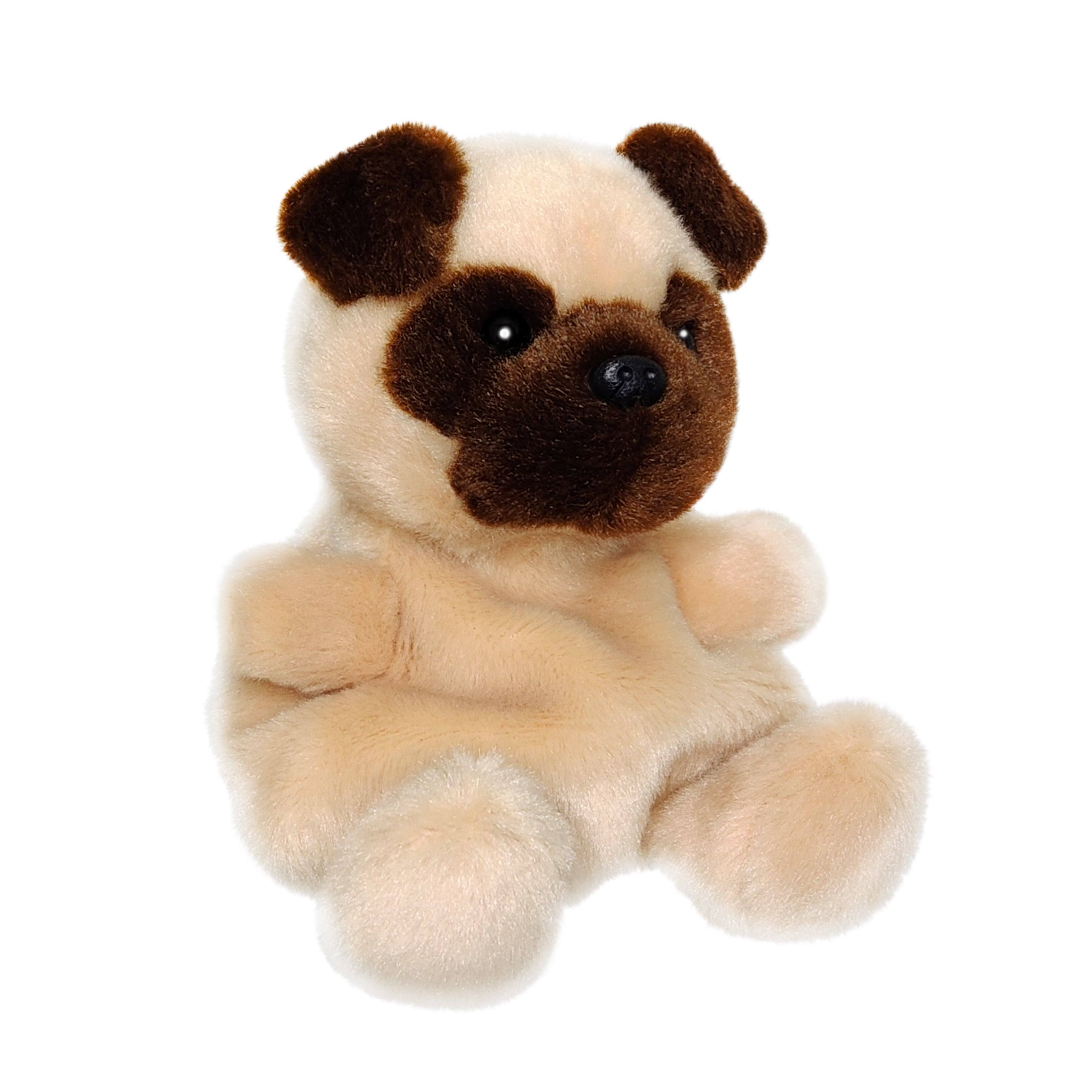Frankie Pug