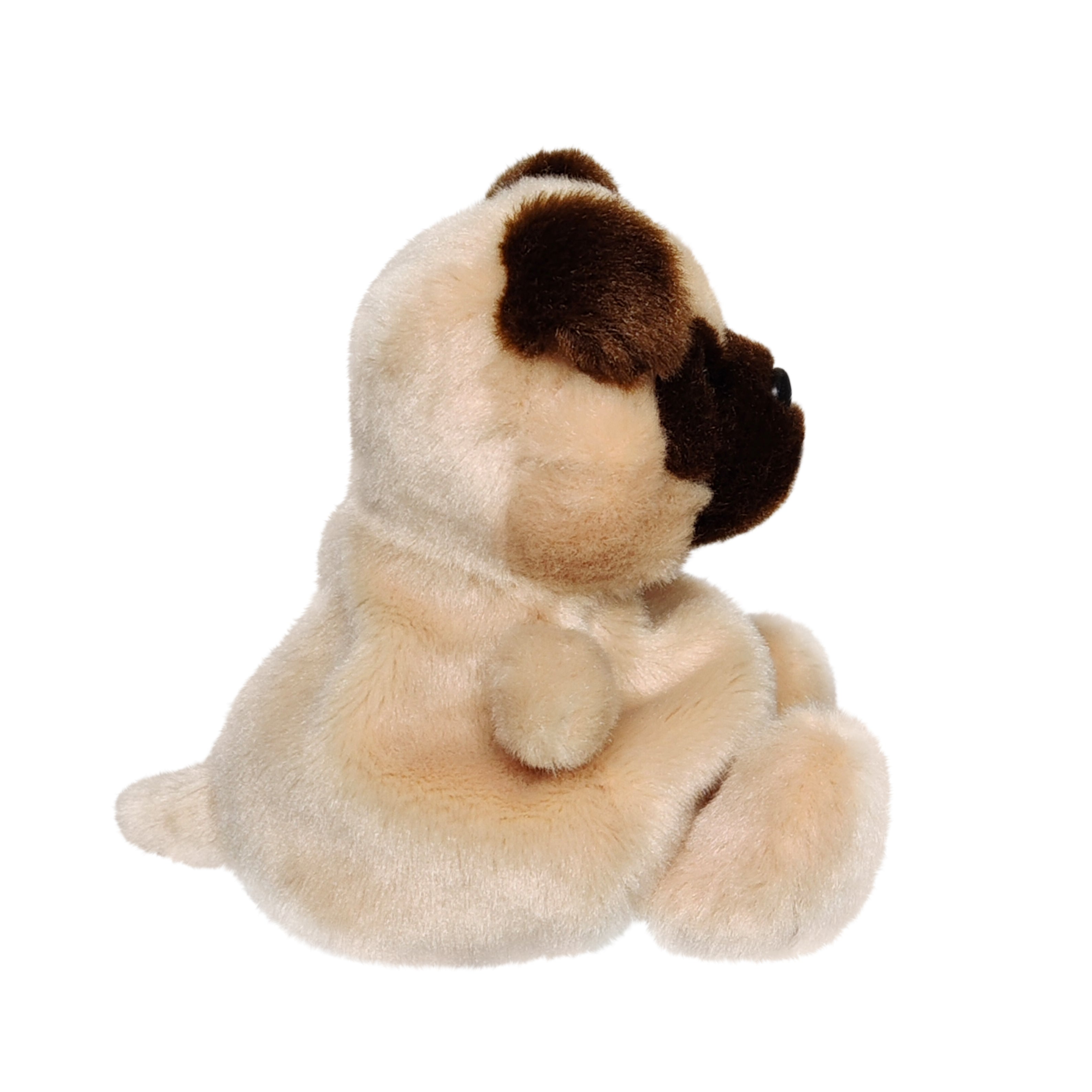 Frankie Pug