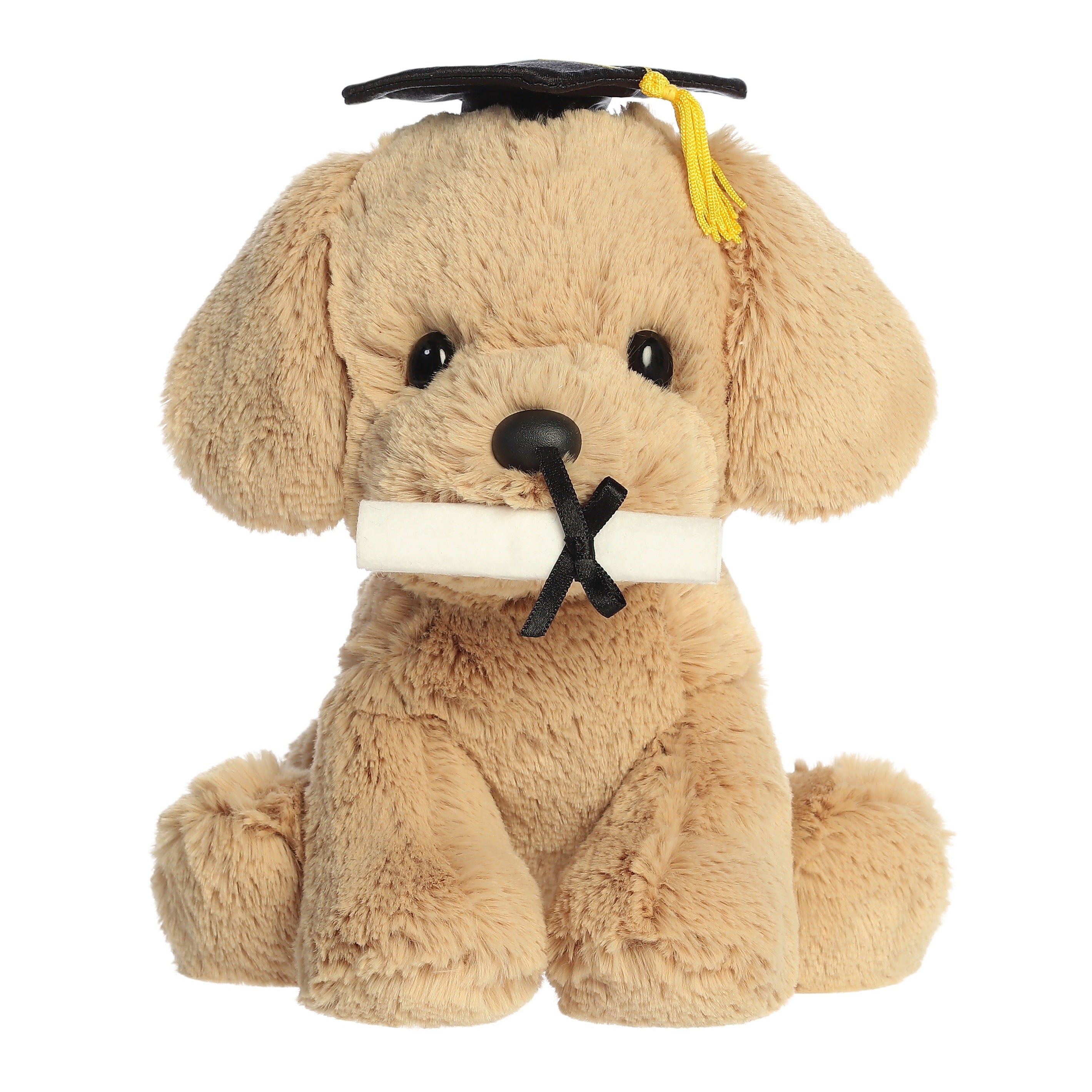 Graduation Pup 8" Tall