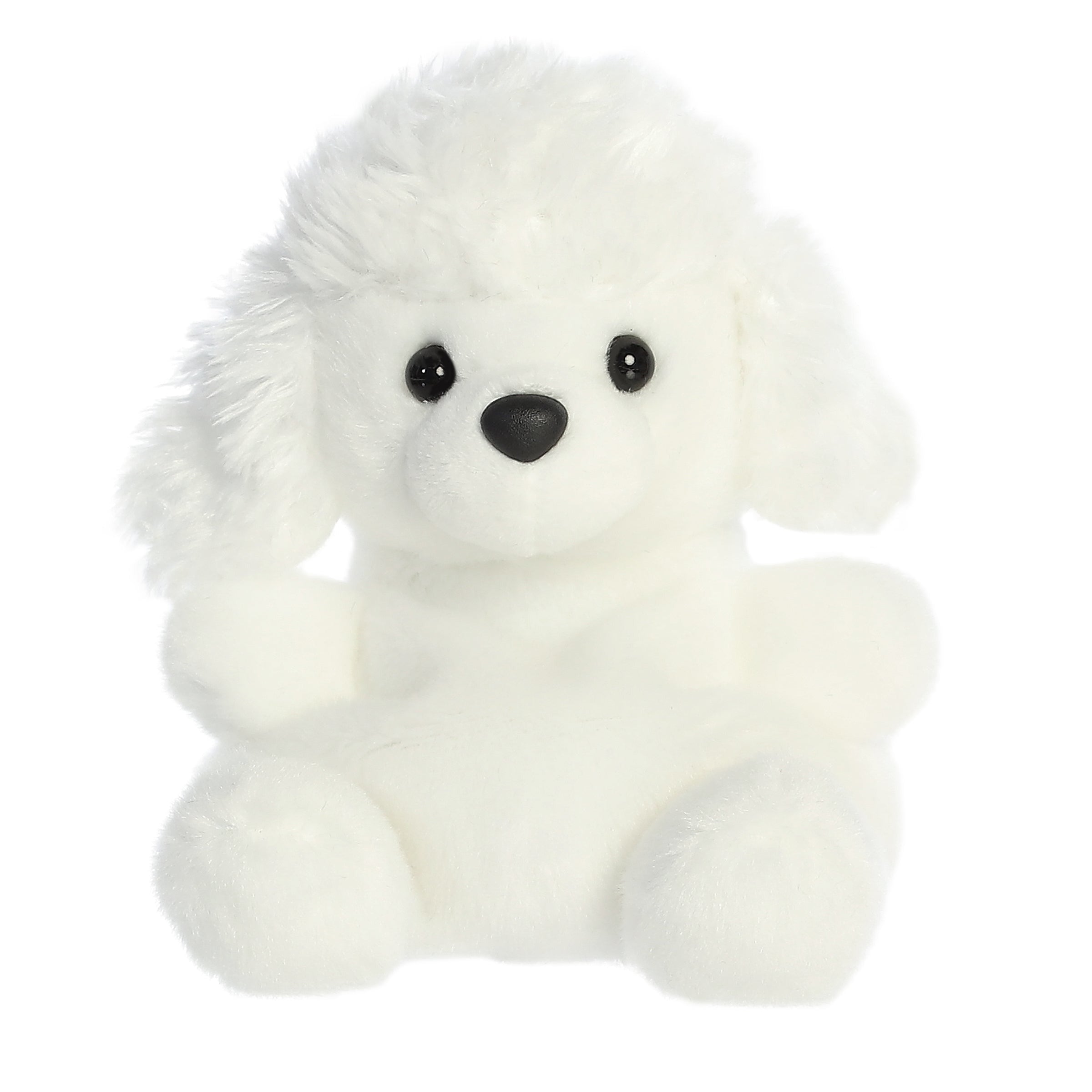 Poodle