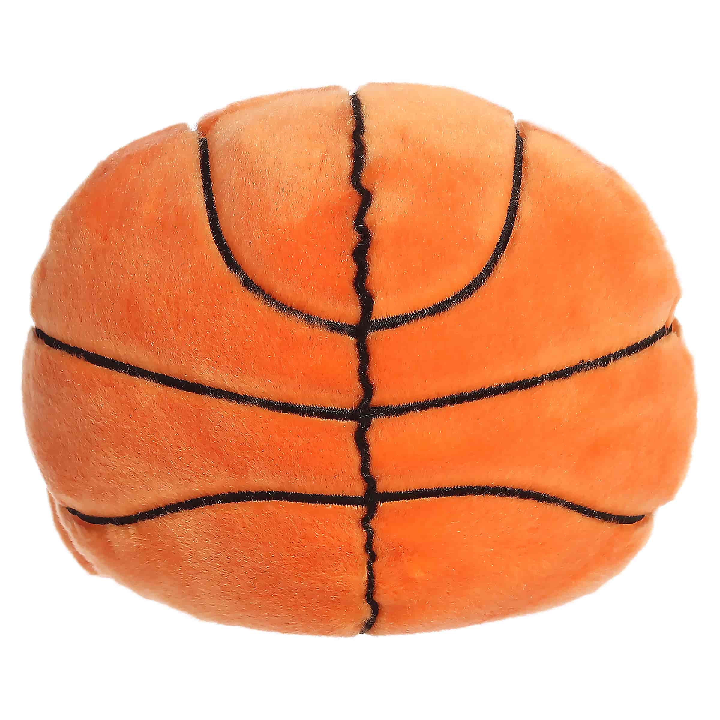 Hoops Basketball (Large)