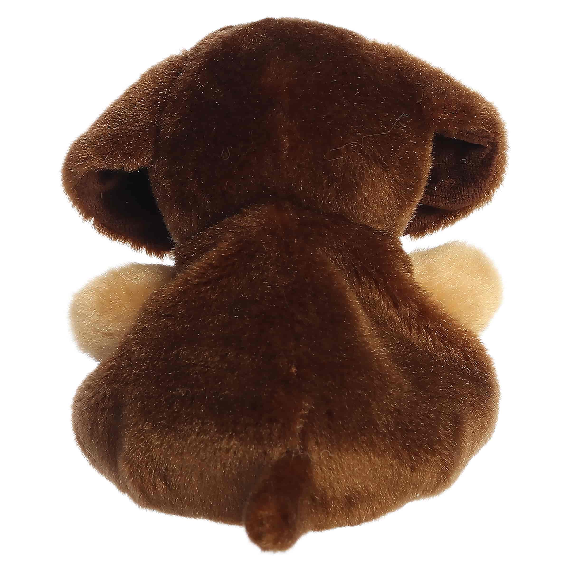 Houdini Dachshund (Small)
