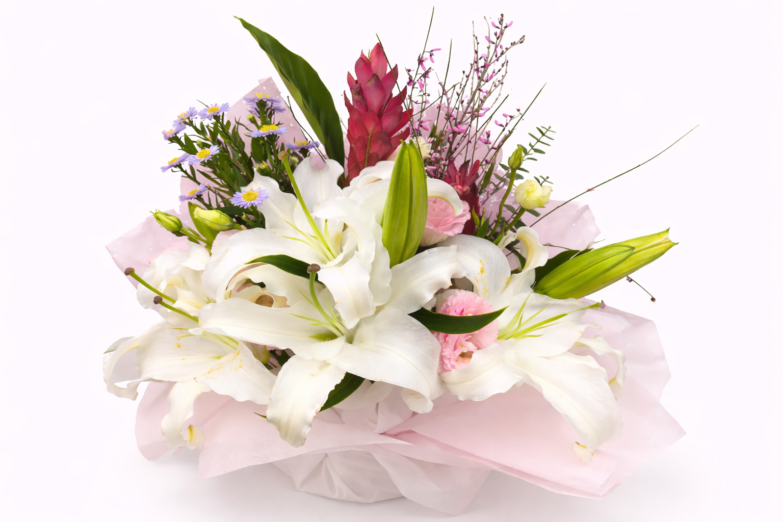 Lily of My Heart (L)