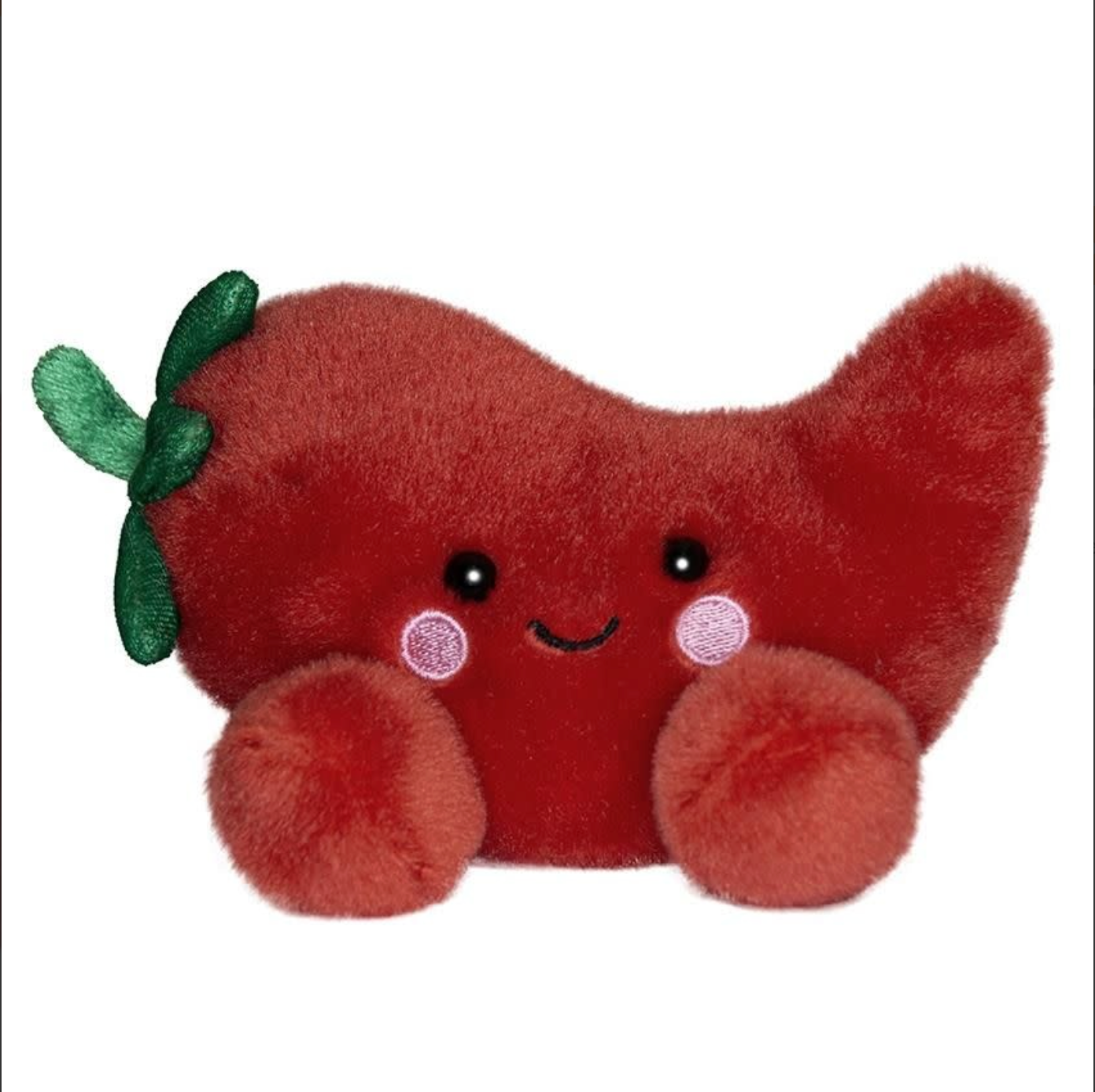 Fuego Chilli Pepper (Small)