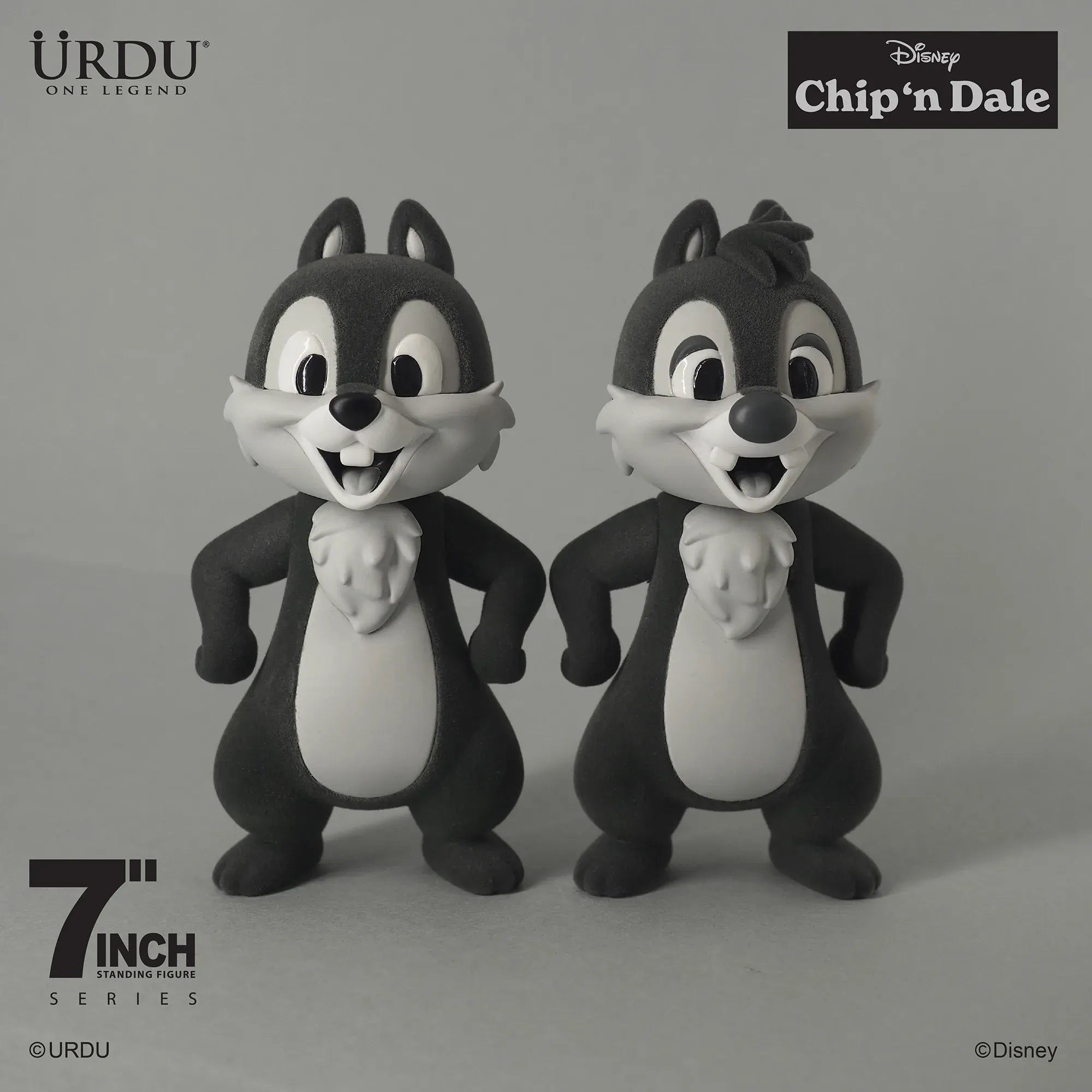 Chip &