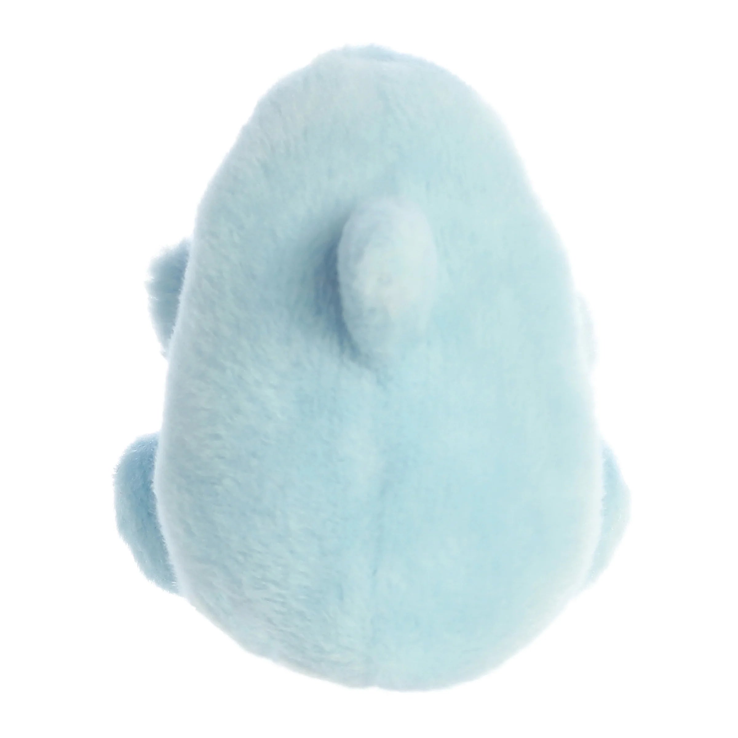 Clicks Dolphin (Small)