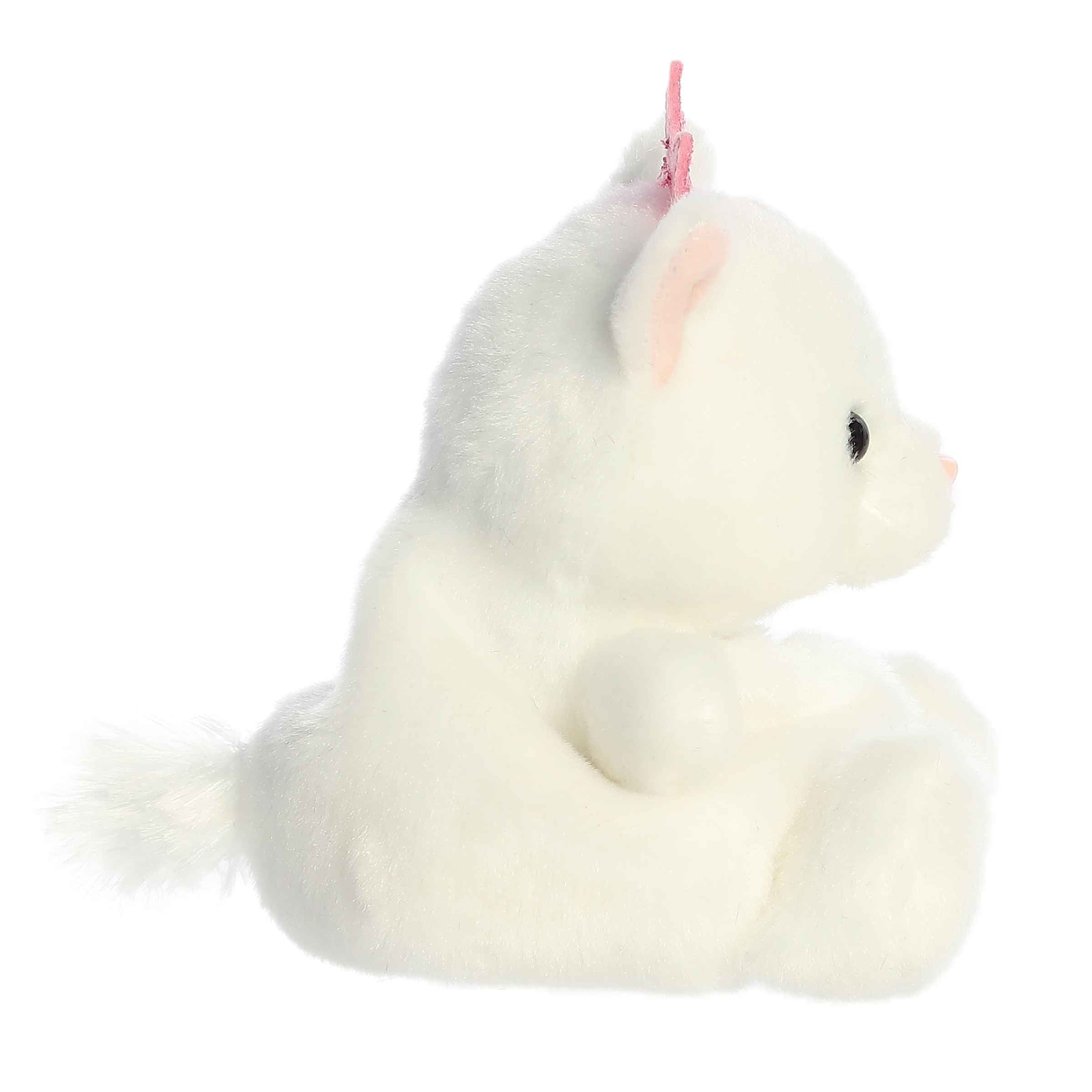 Princess Kitty (Small)