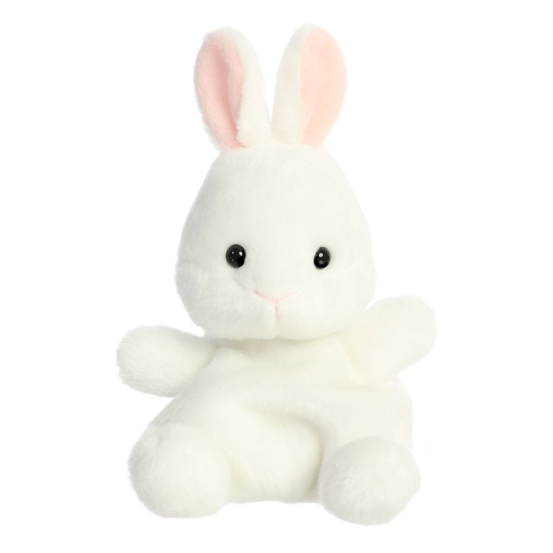 Cottontail Bunny