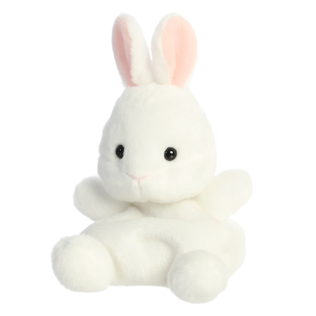 Cottontail Bunny
