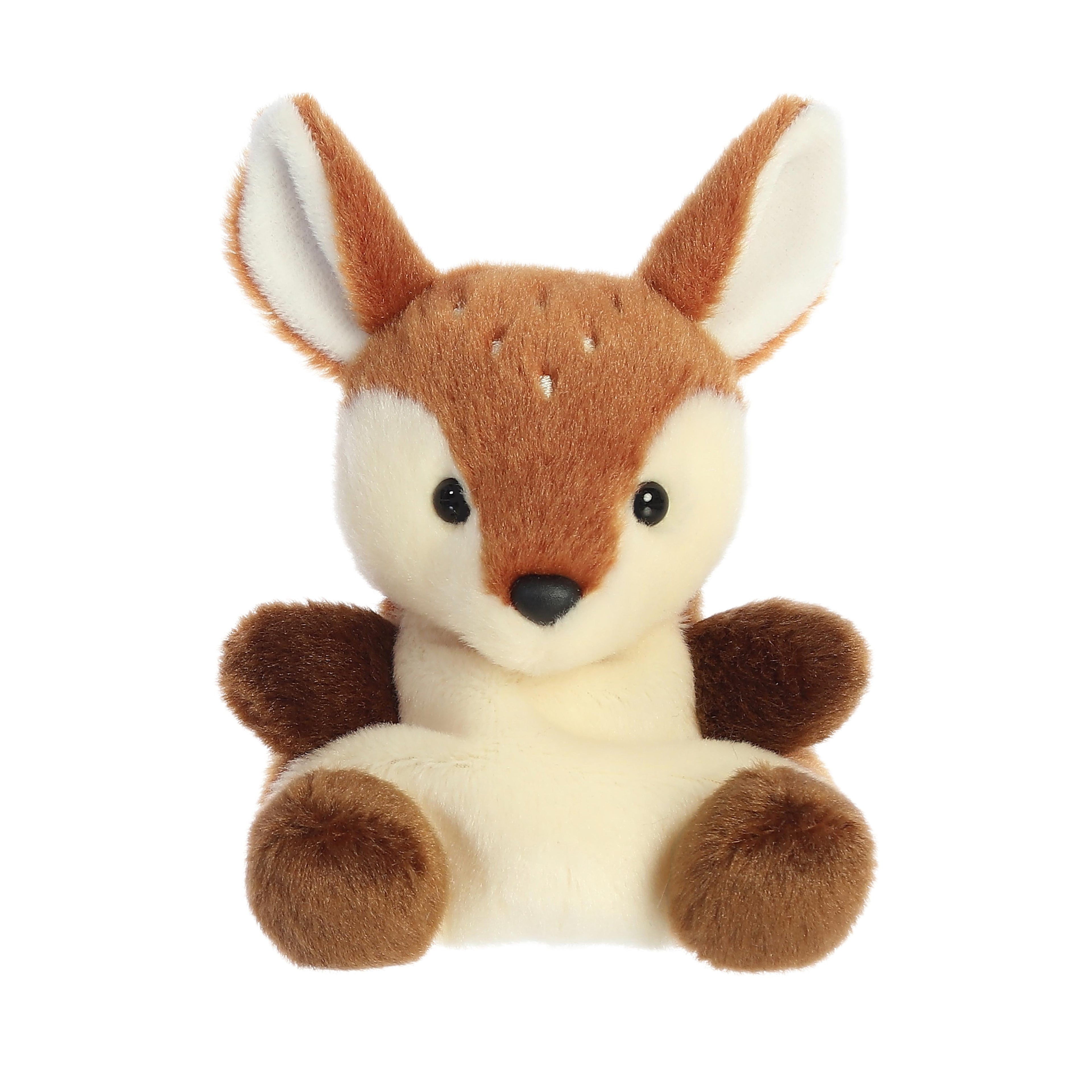 Fawn