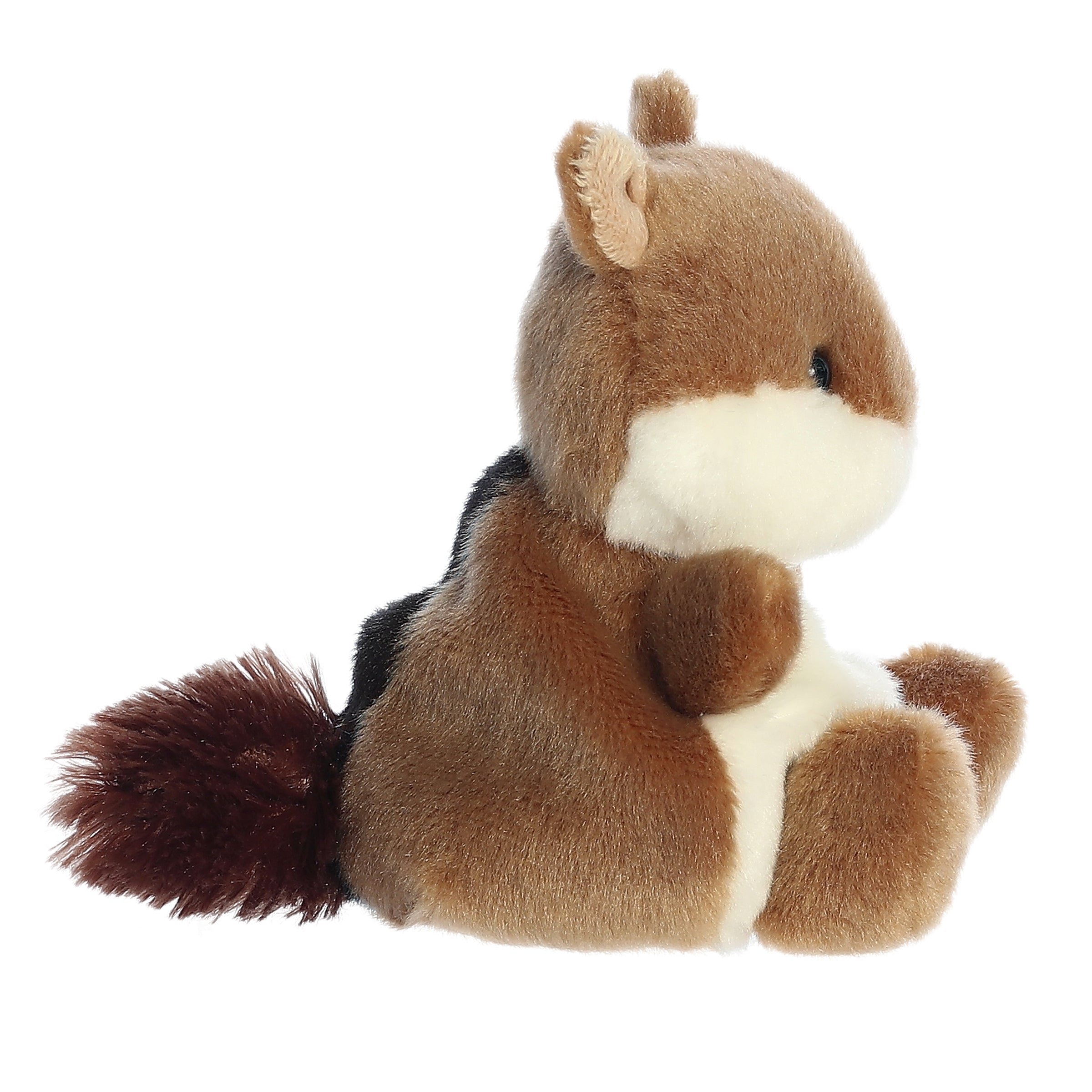 Chipmunk