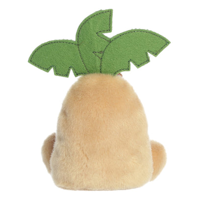 Palm Tree