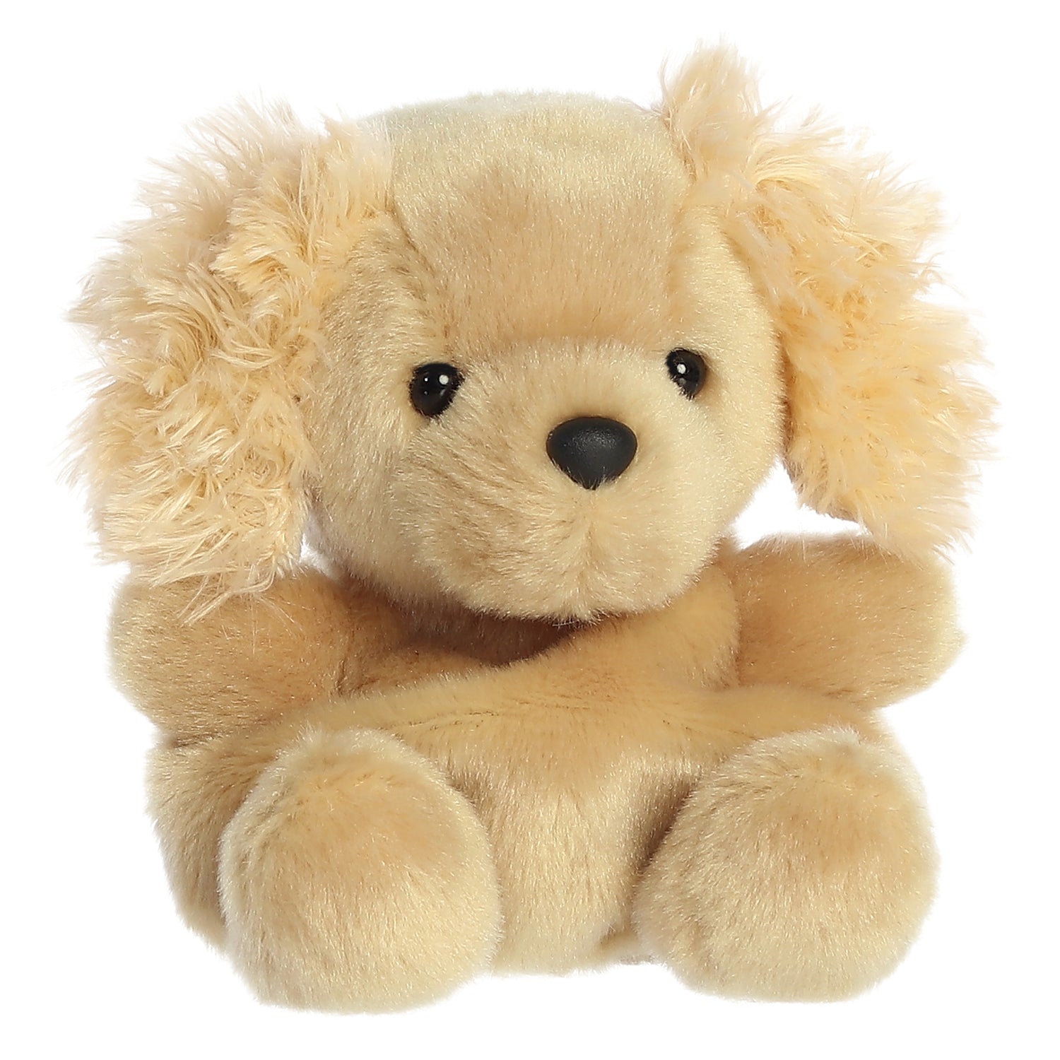 Goldendoodle