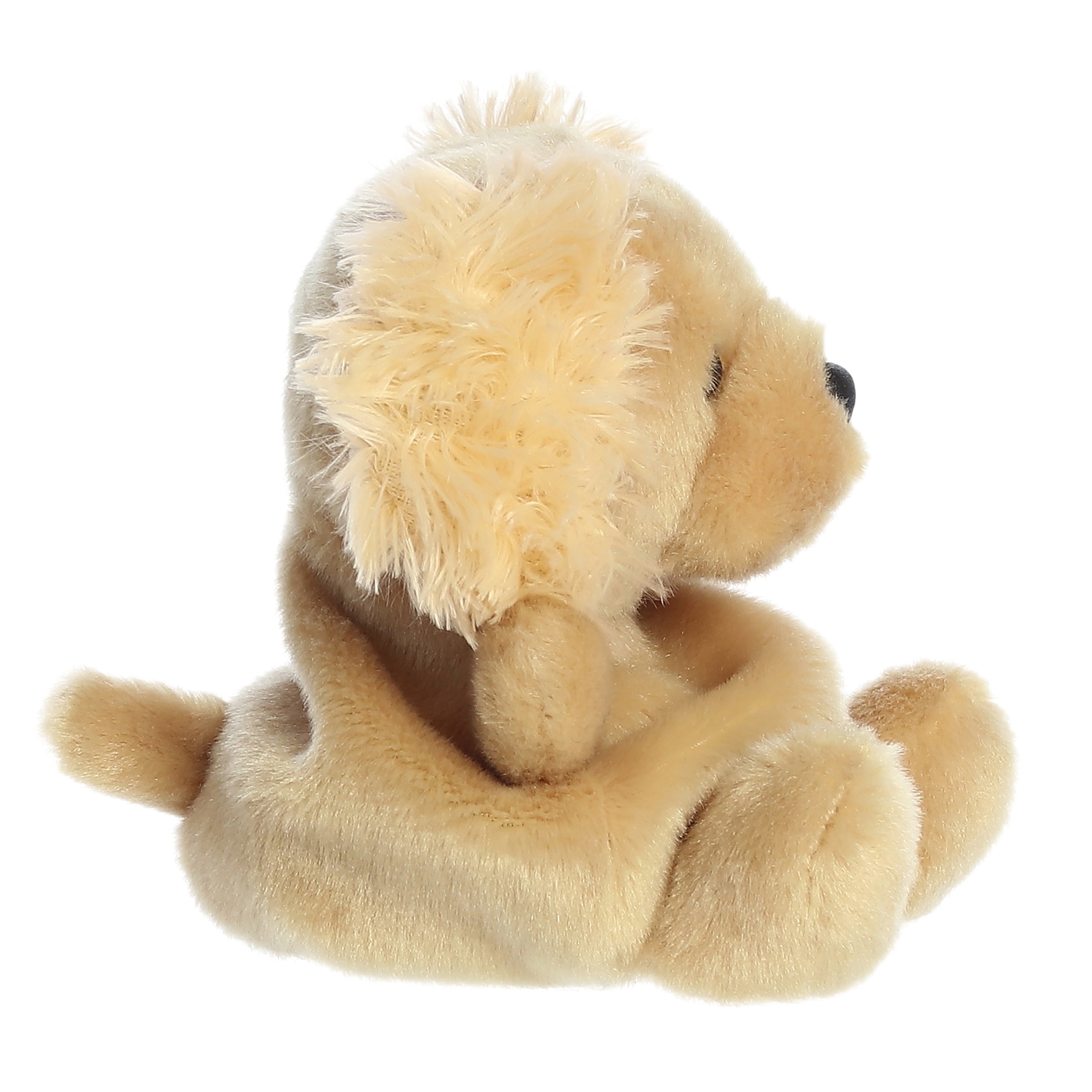 Goldendoodle