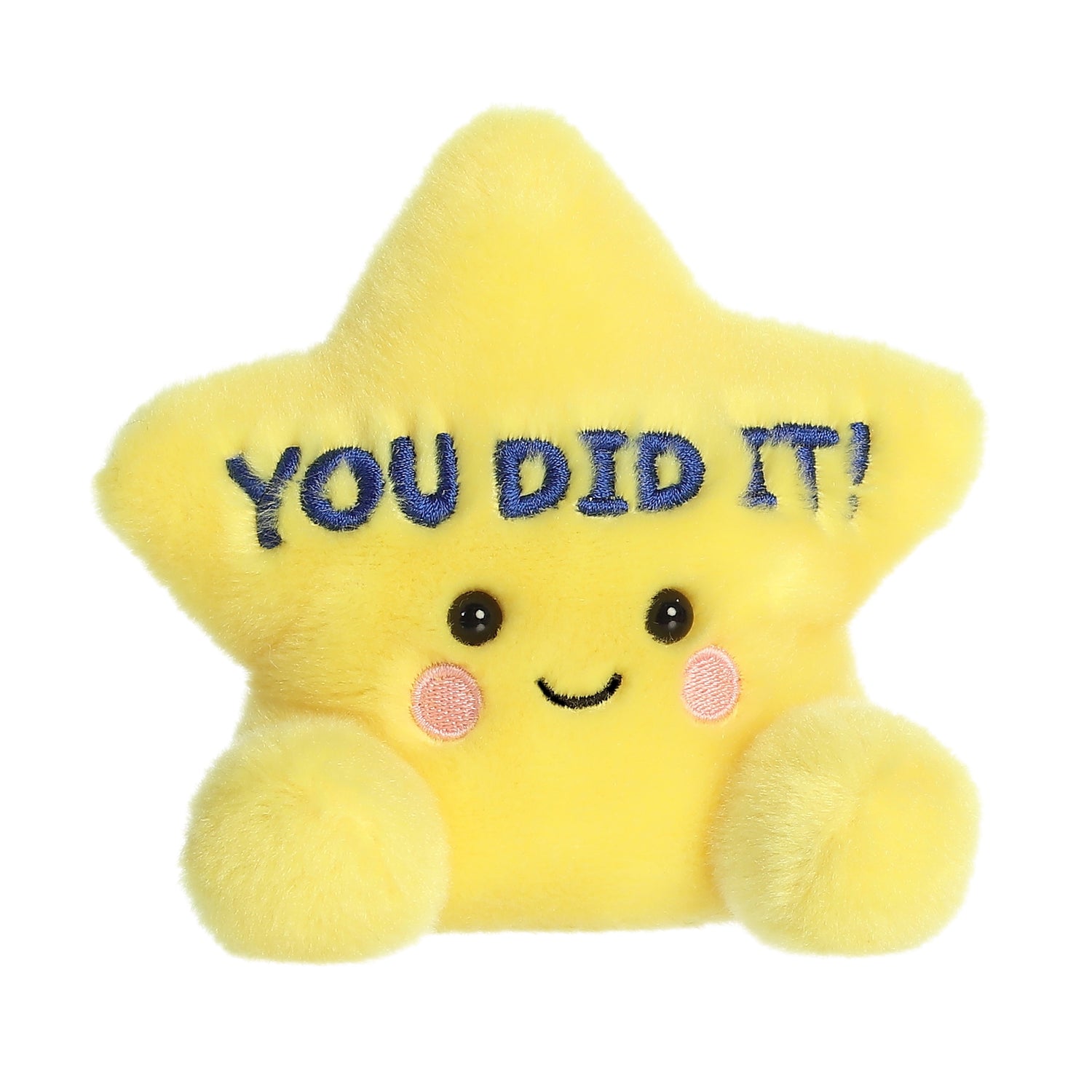 You Did It Star