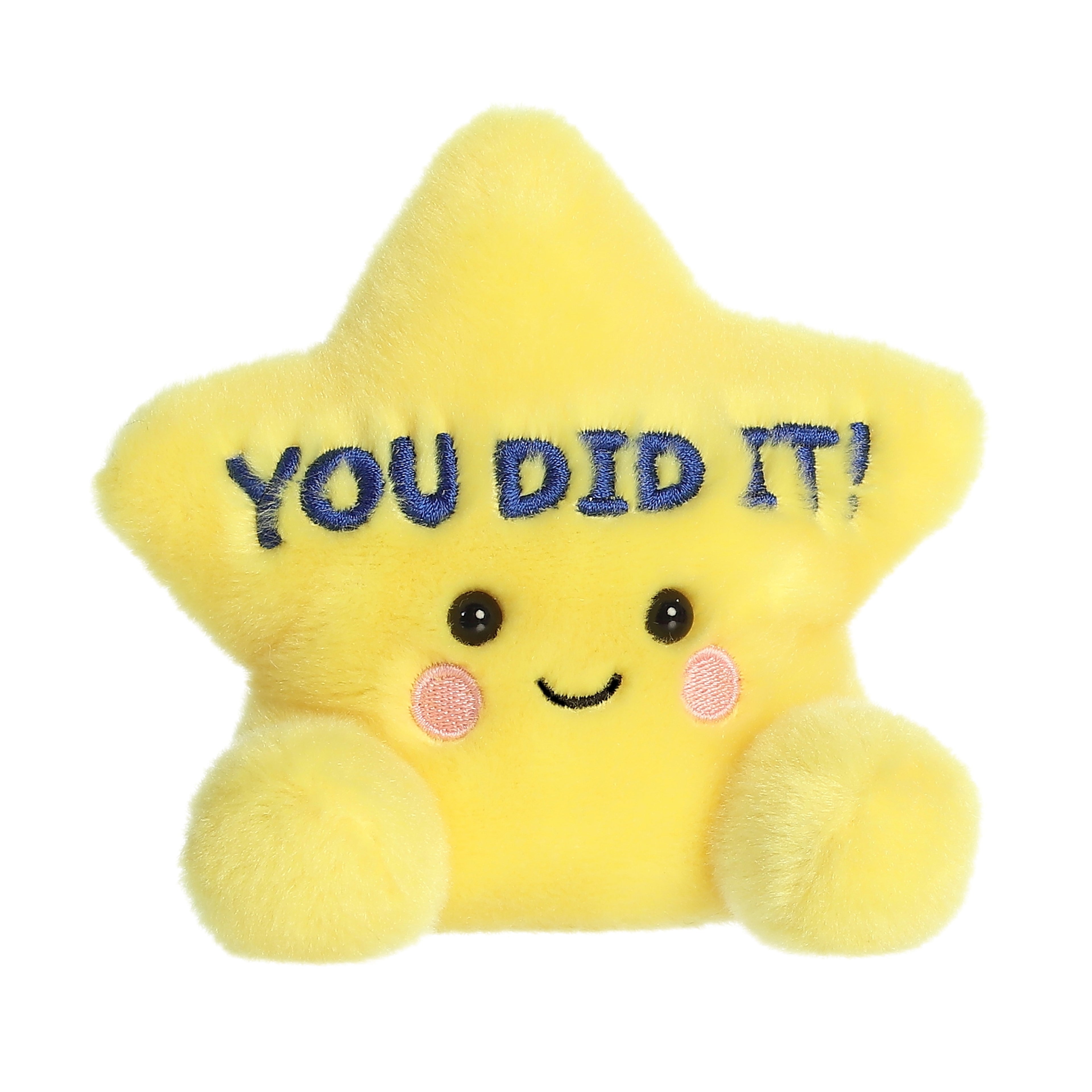 You Did It Star