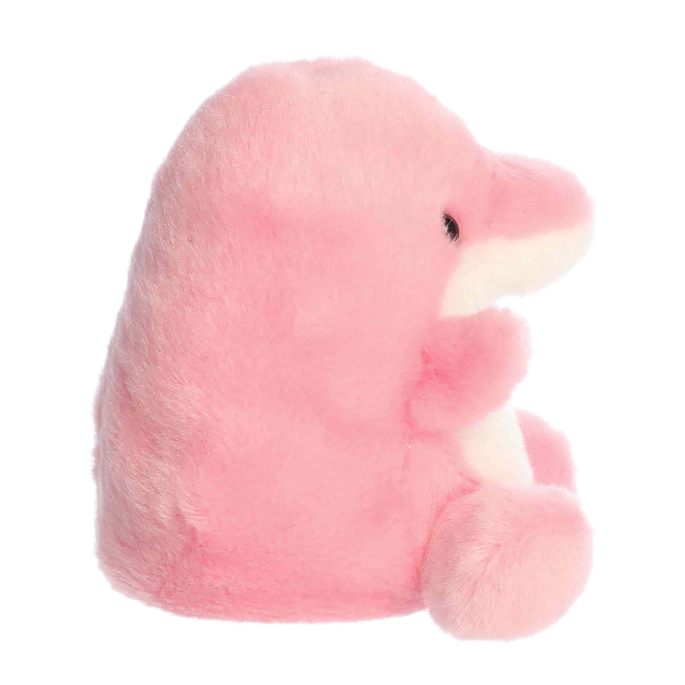 Amazonia Pink Dolphin (Small)