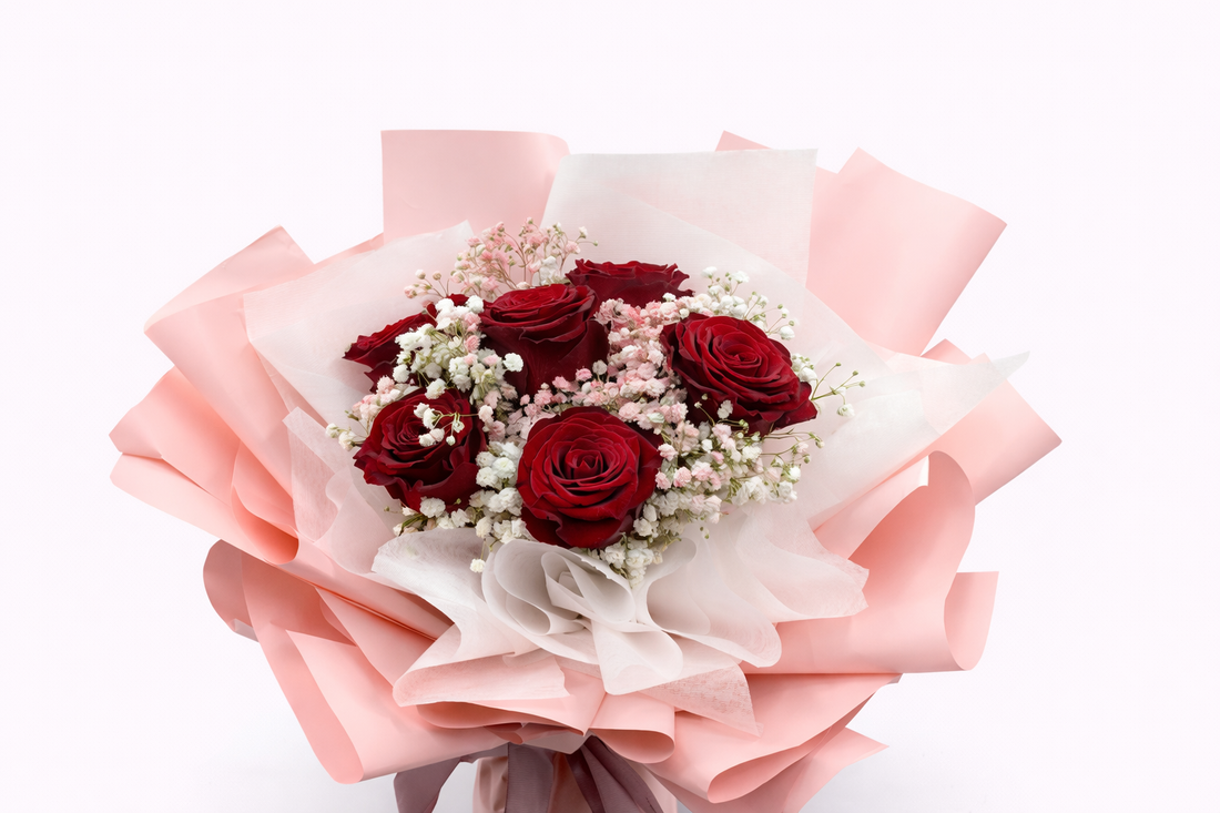 Amour Classique (L)