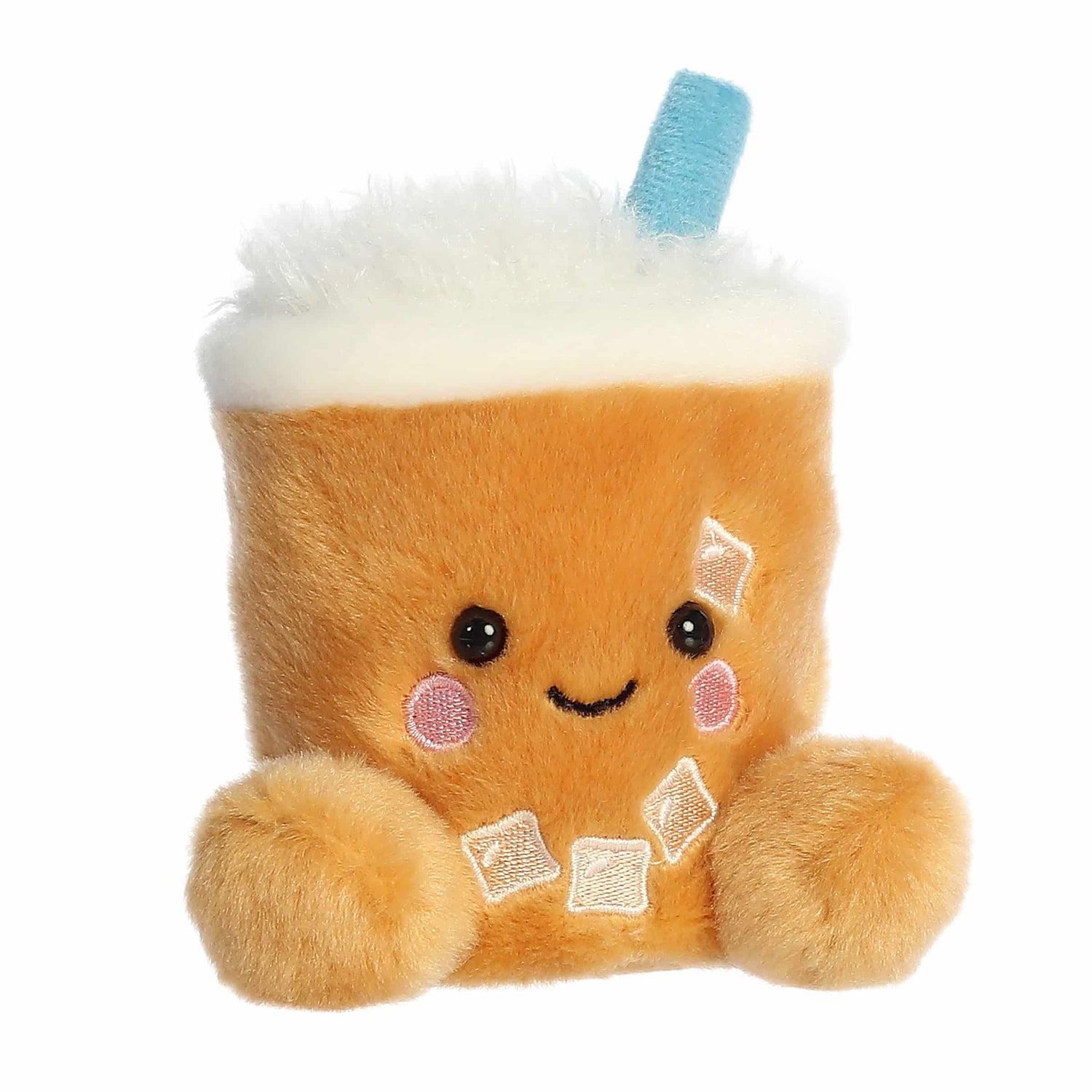 Ashley Iced Coffee (Small)
