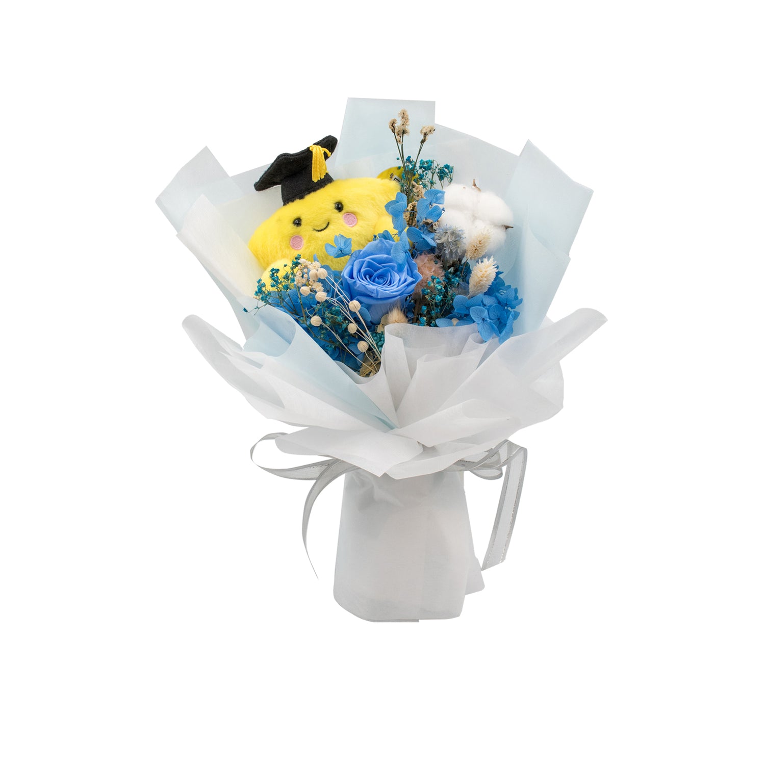 Celestial Garden wIth Grad Star Plush