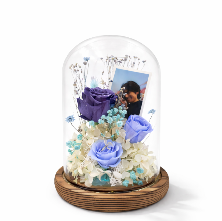 Forever, Preserved Dome