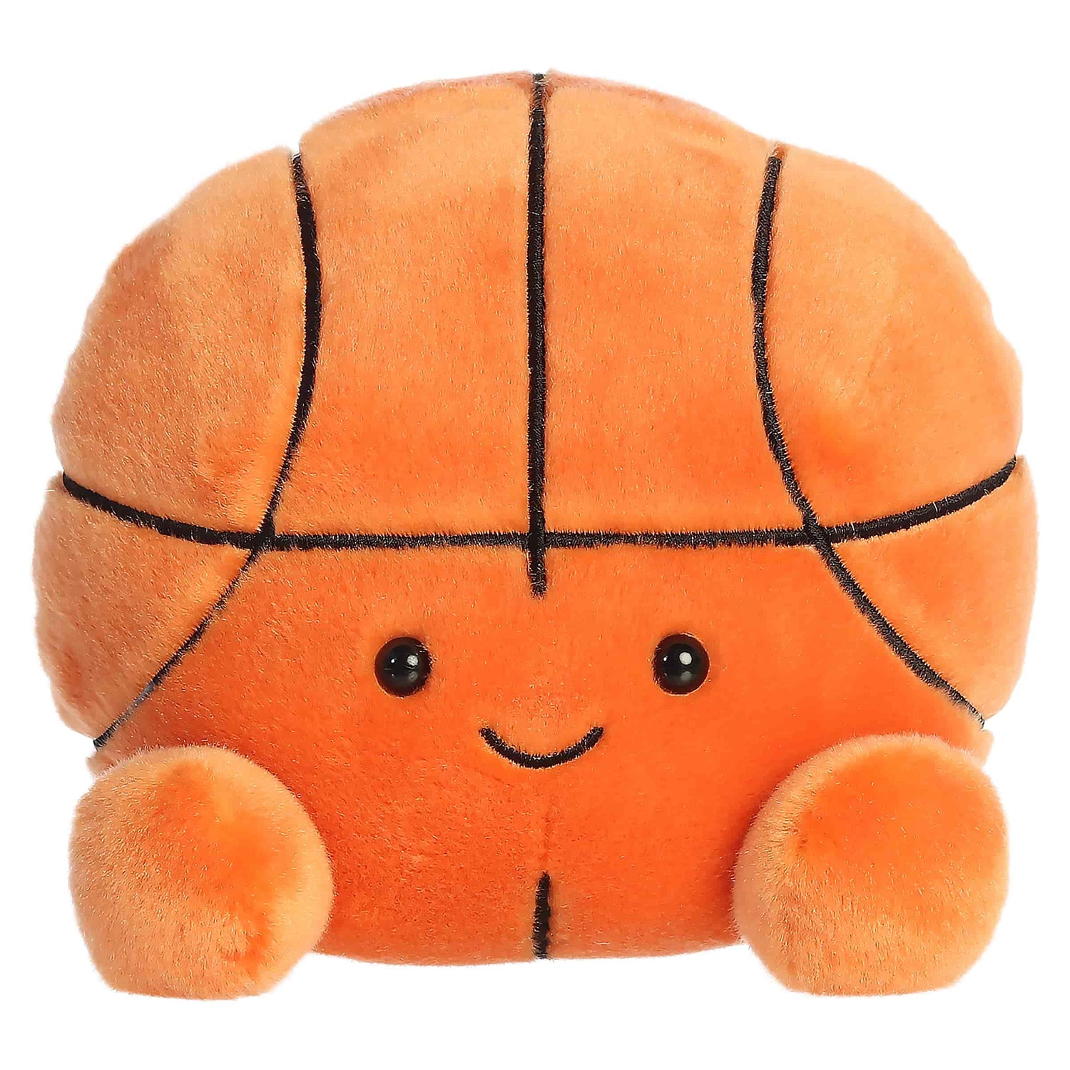Hoops Basketball (Large)
