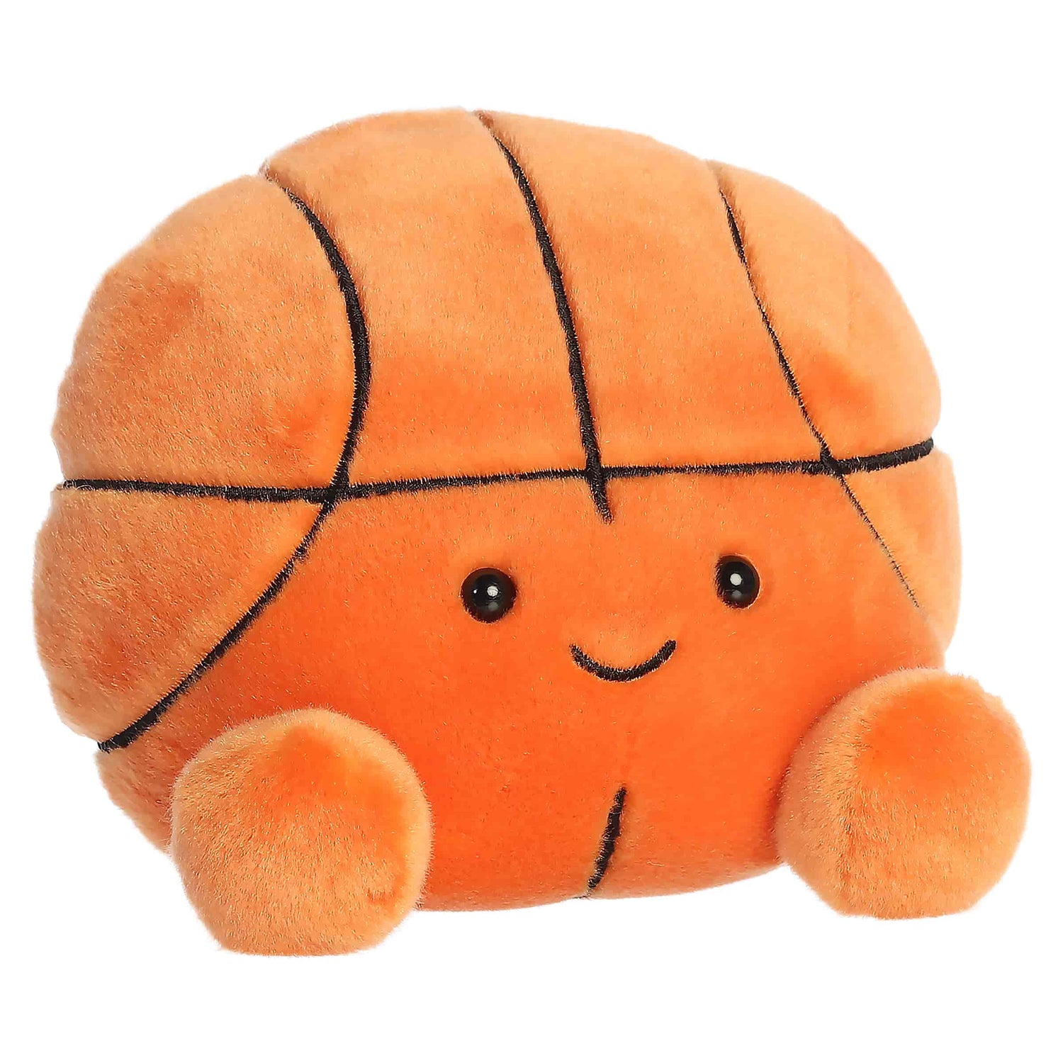 Hoops Basketball (Large)