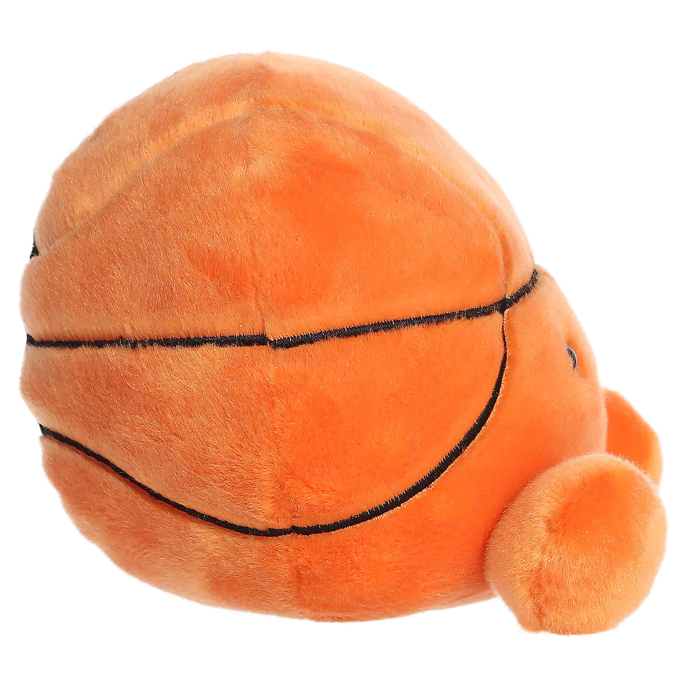 Hoops Basketball (Large)