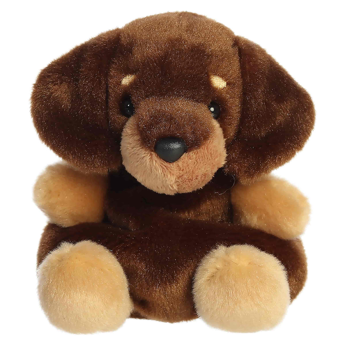 Houdini Dachshund (Small)