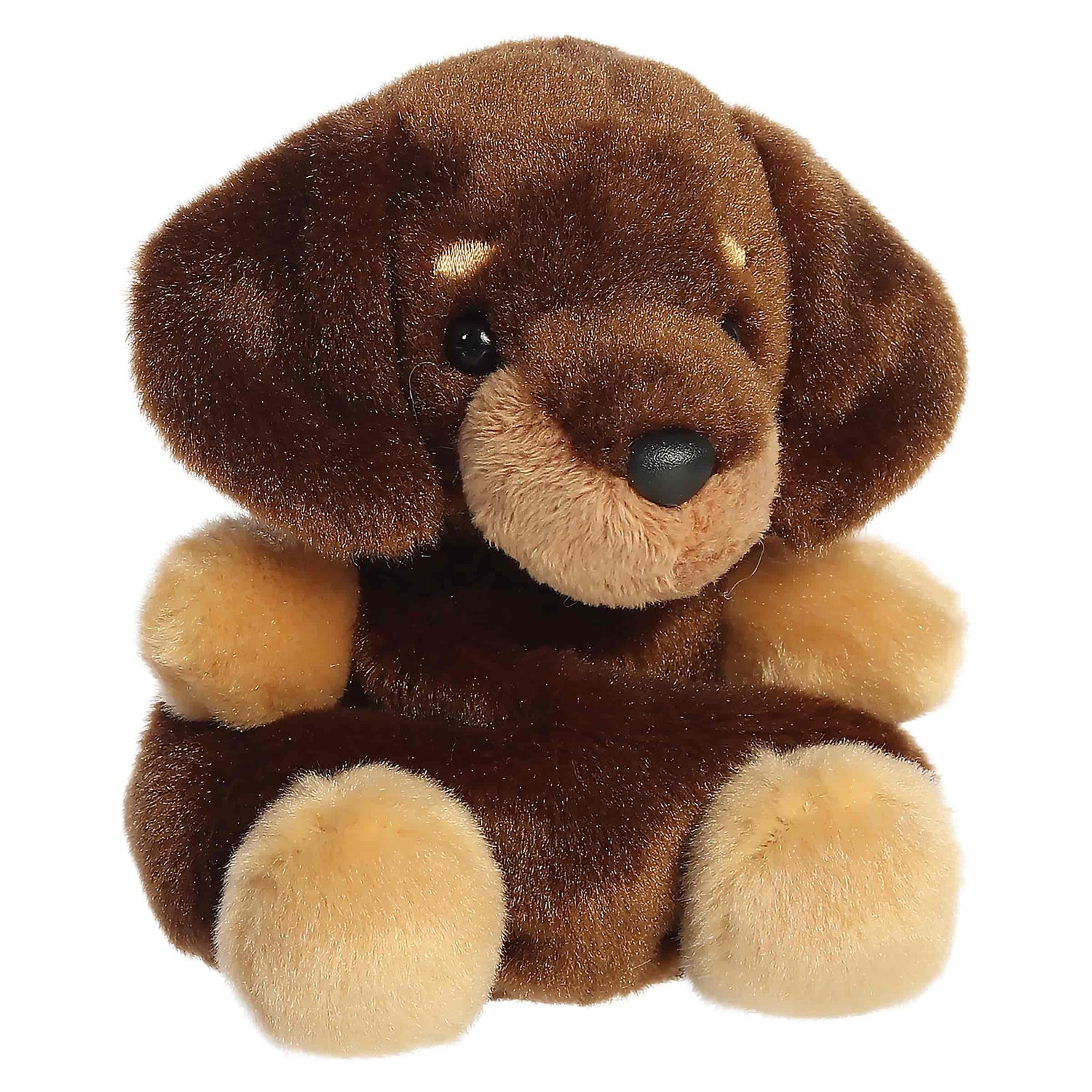 Houdini Dachshund (Small)