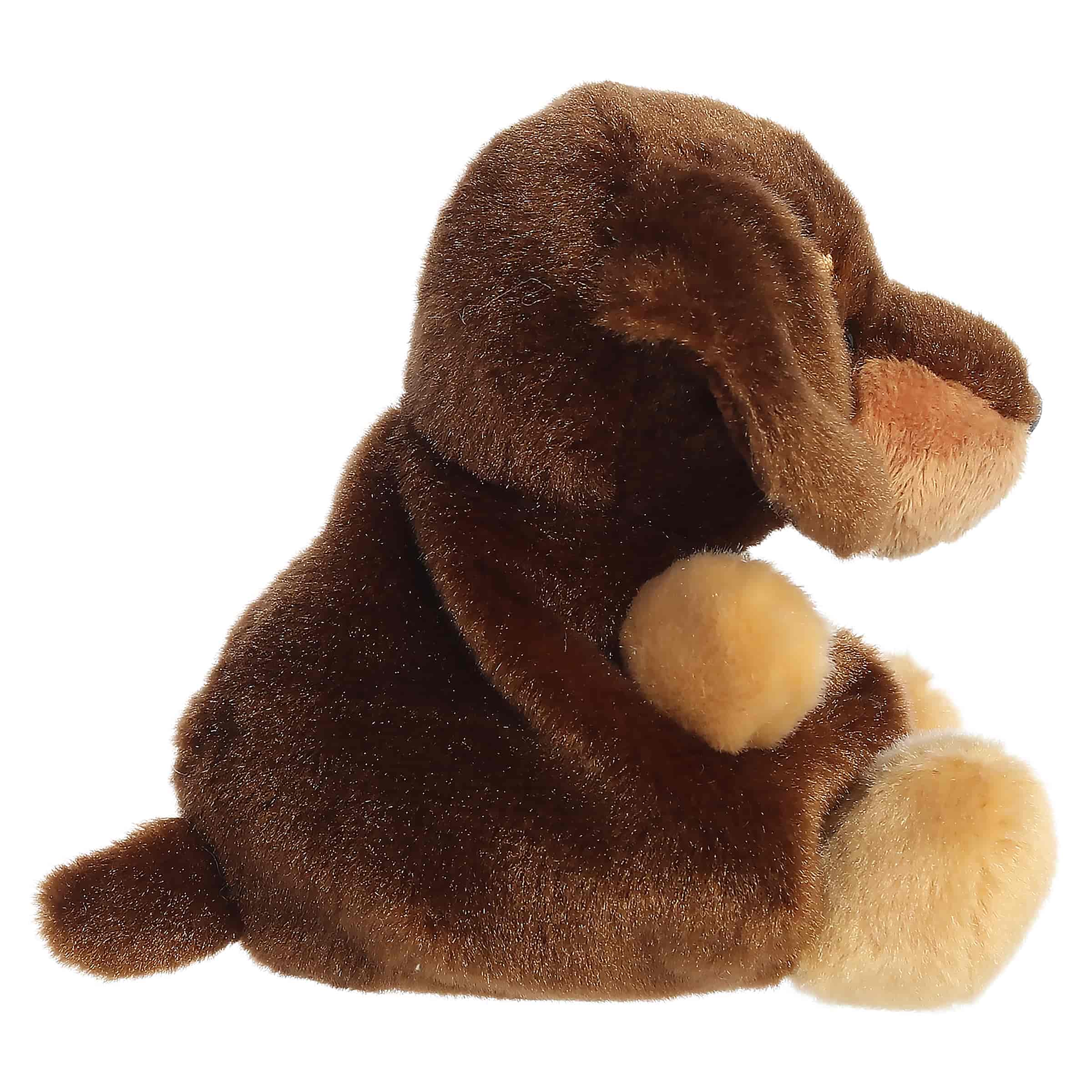 Houdini Dachshund (Small)