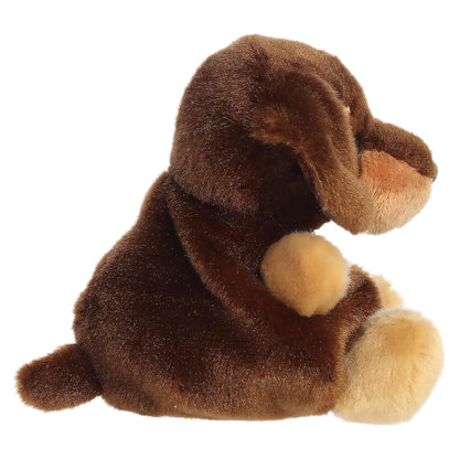Houdini Dachshund (Small)