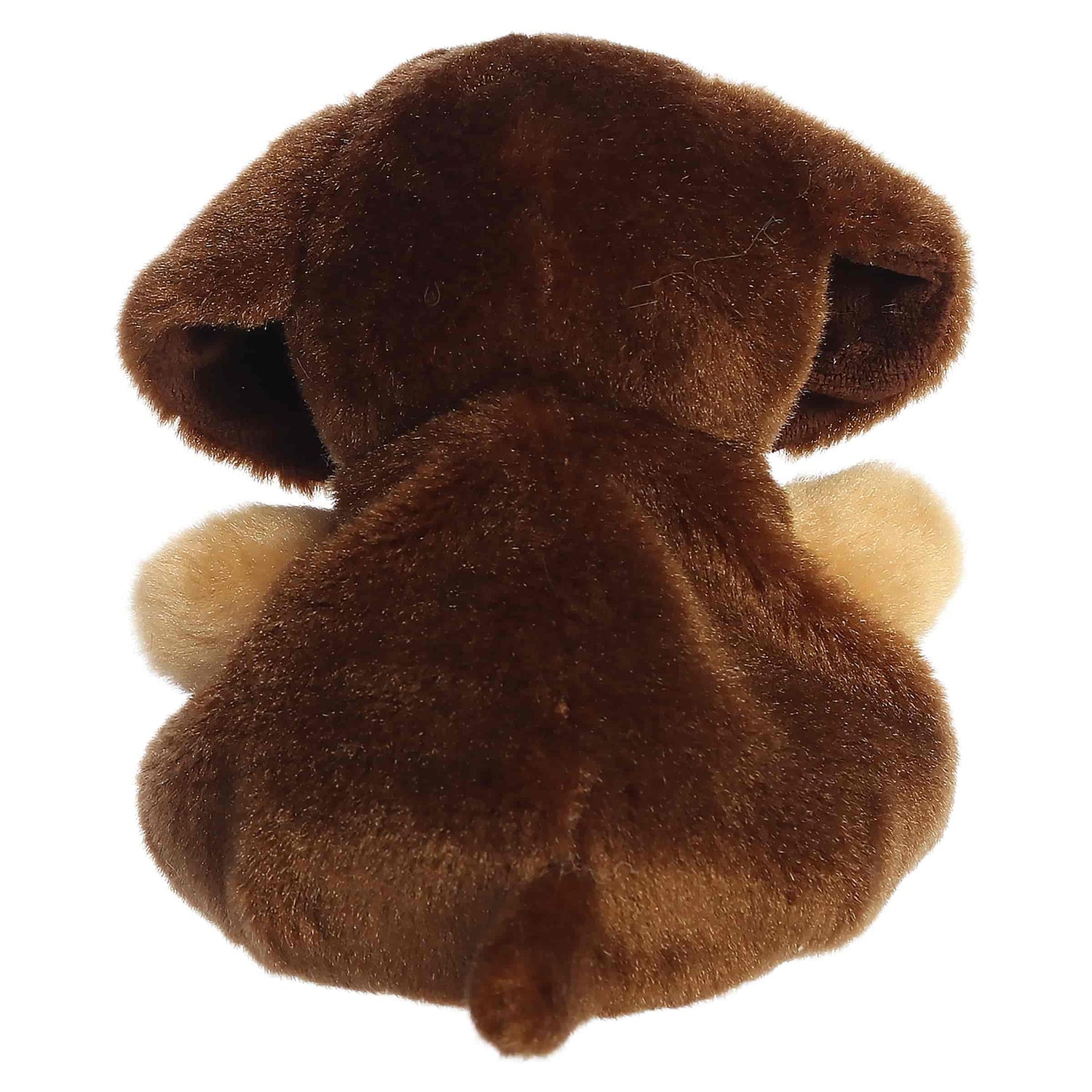 Houdini Dachshund (Small)