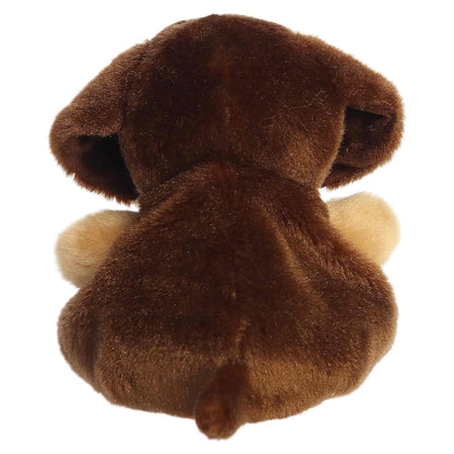 Houdini Dachshund (Small)