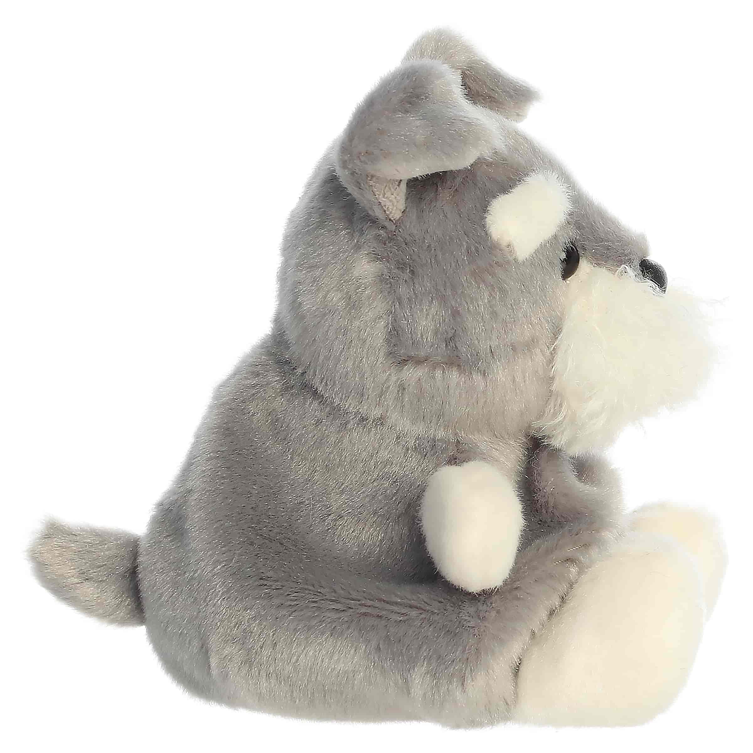 Korra Schnauzer (Small)