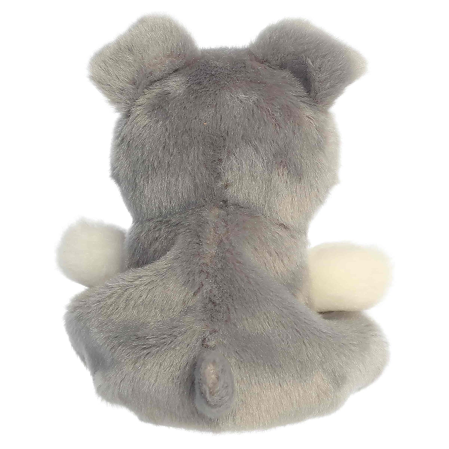 Korra Schnauzer (Small)