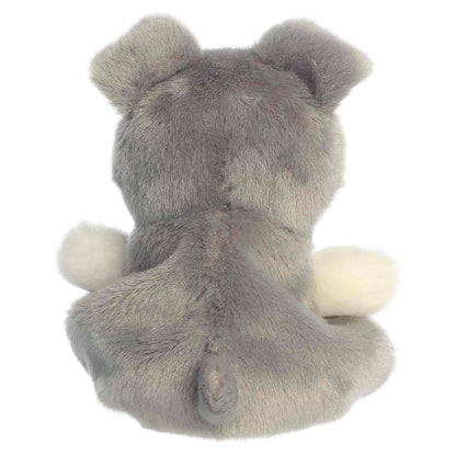 Korra Schnauzer (Small)