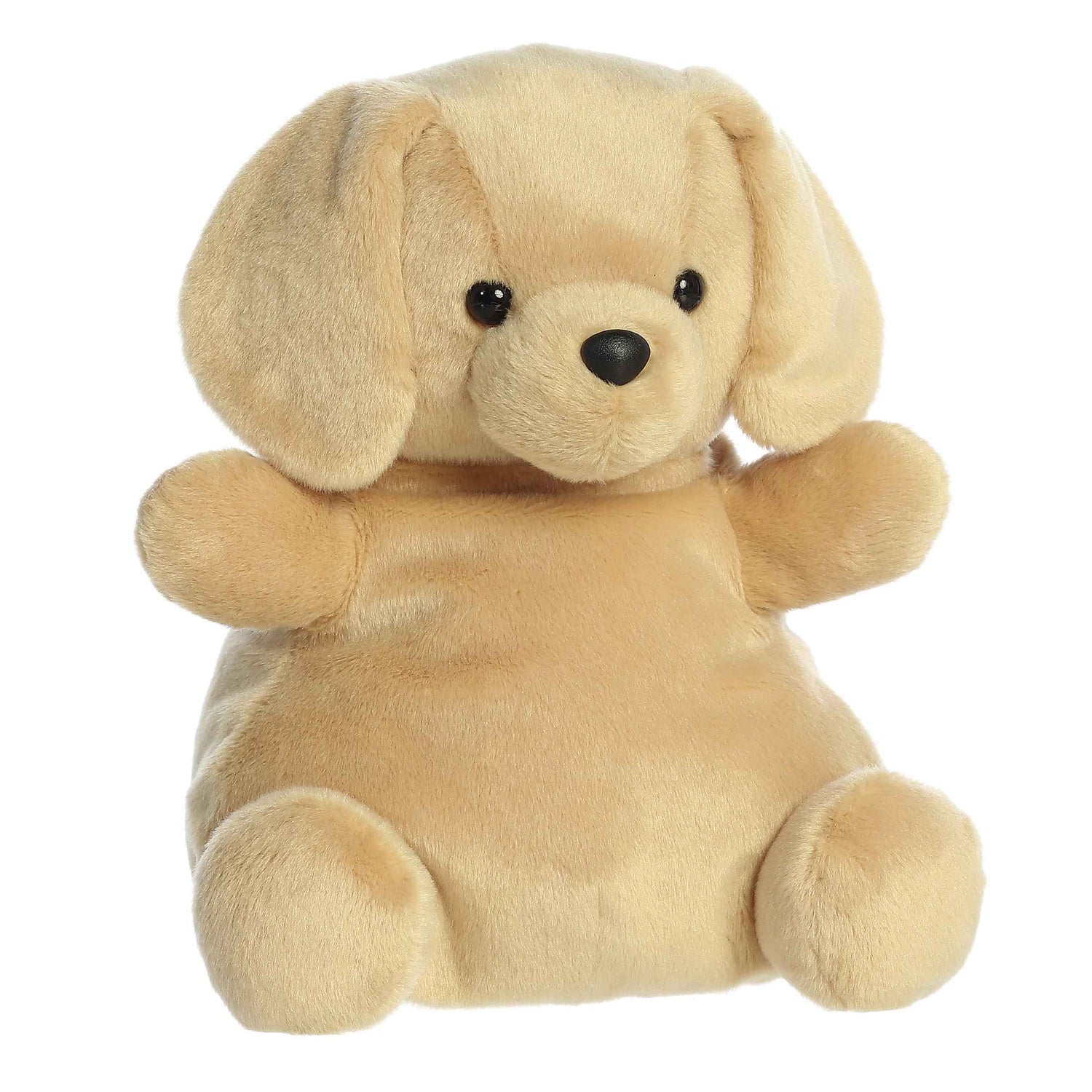 Sunny Lab (Extra Large)