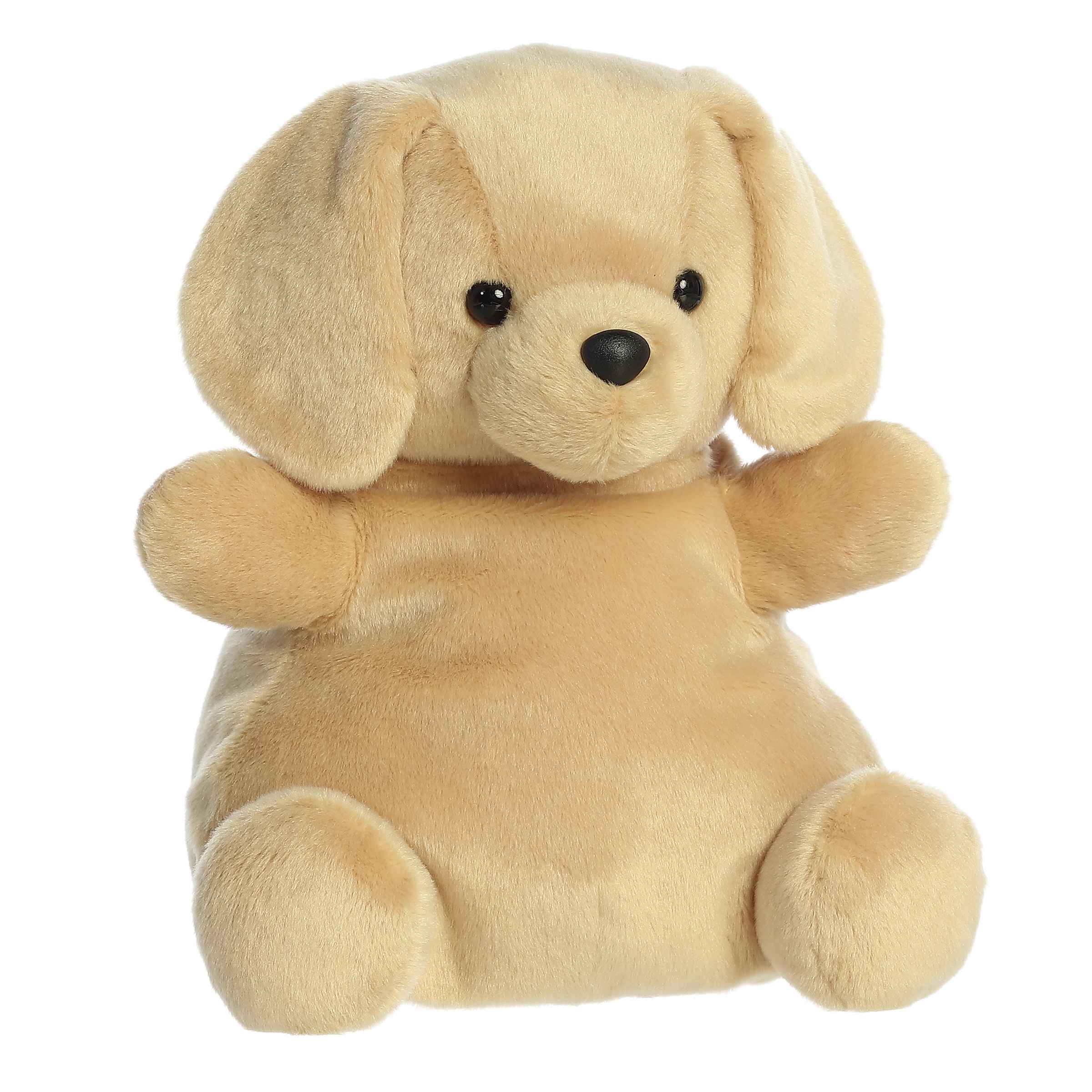 Sunny Lab (Extra Large)