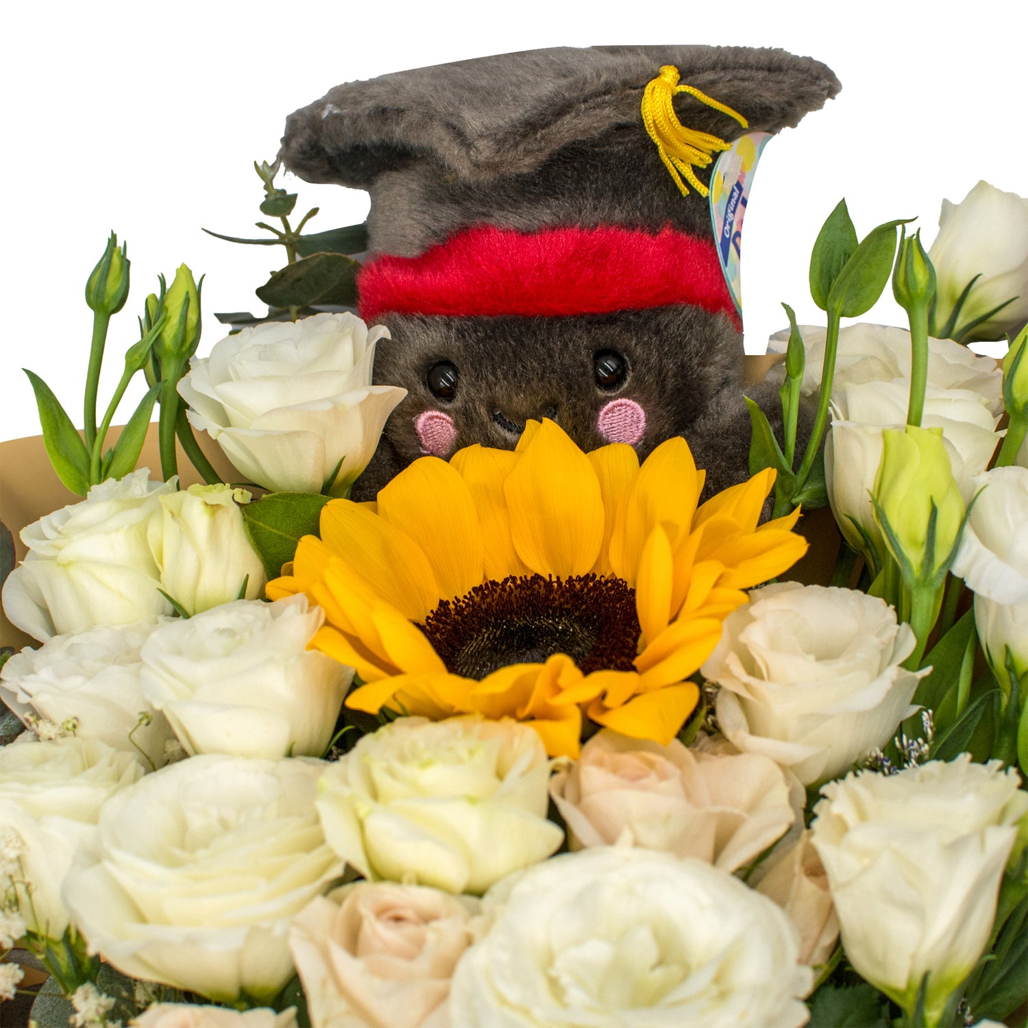 Royal Elegance w Grad Cap Plush