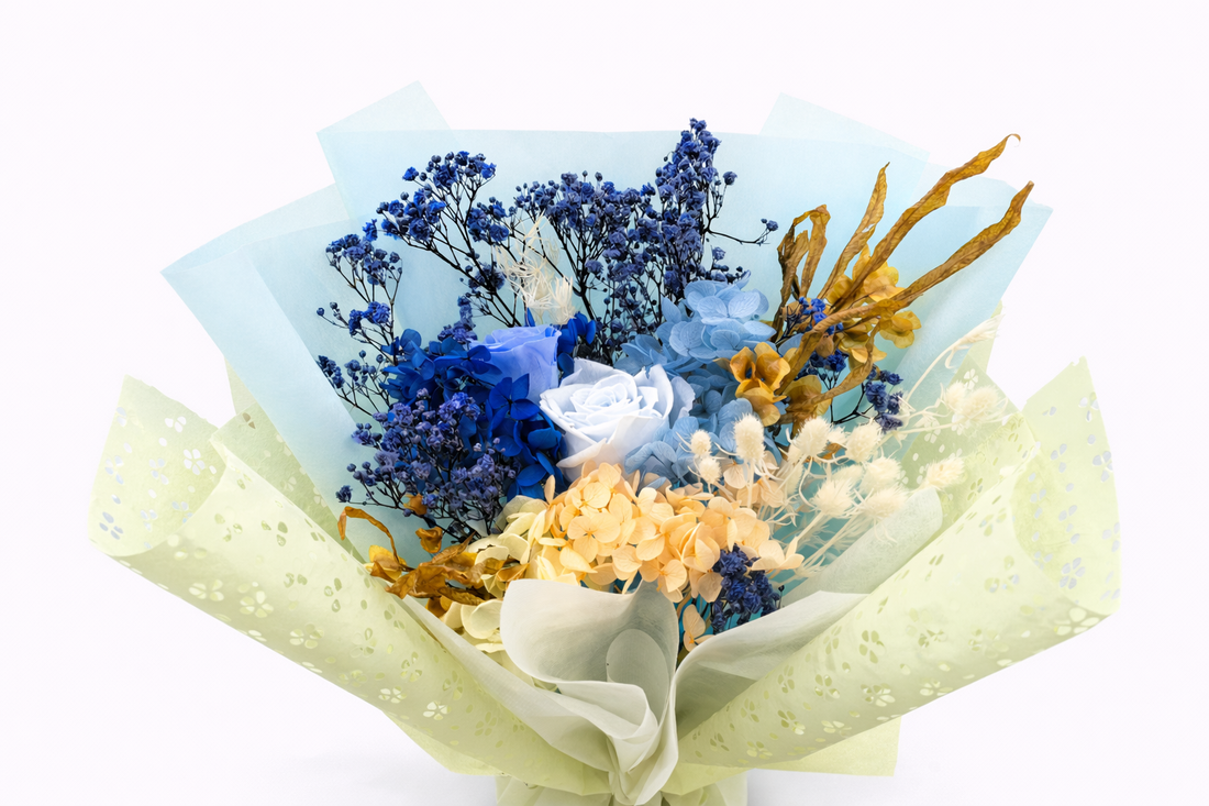 Sapphire Lumière (M)