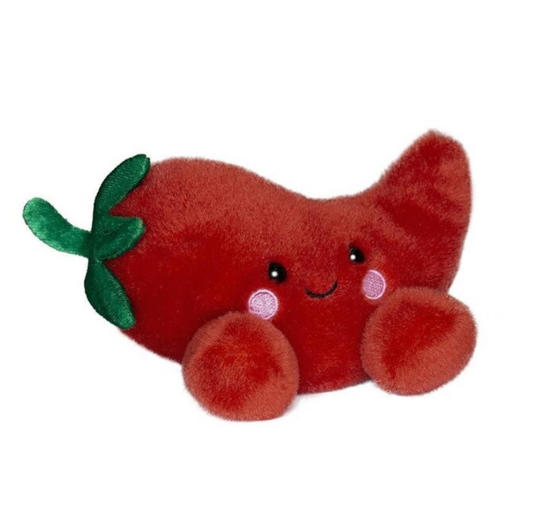 Fuego Chilli Pepper (Small)