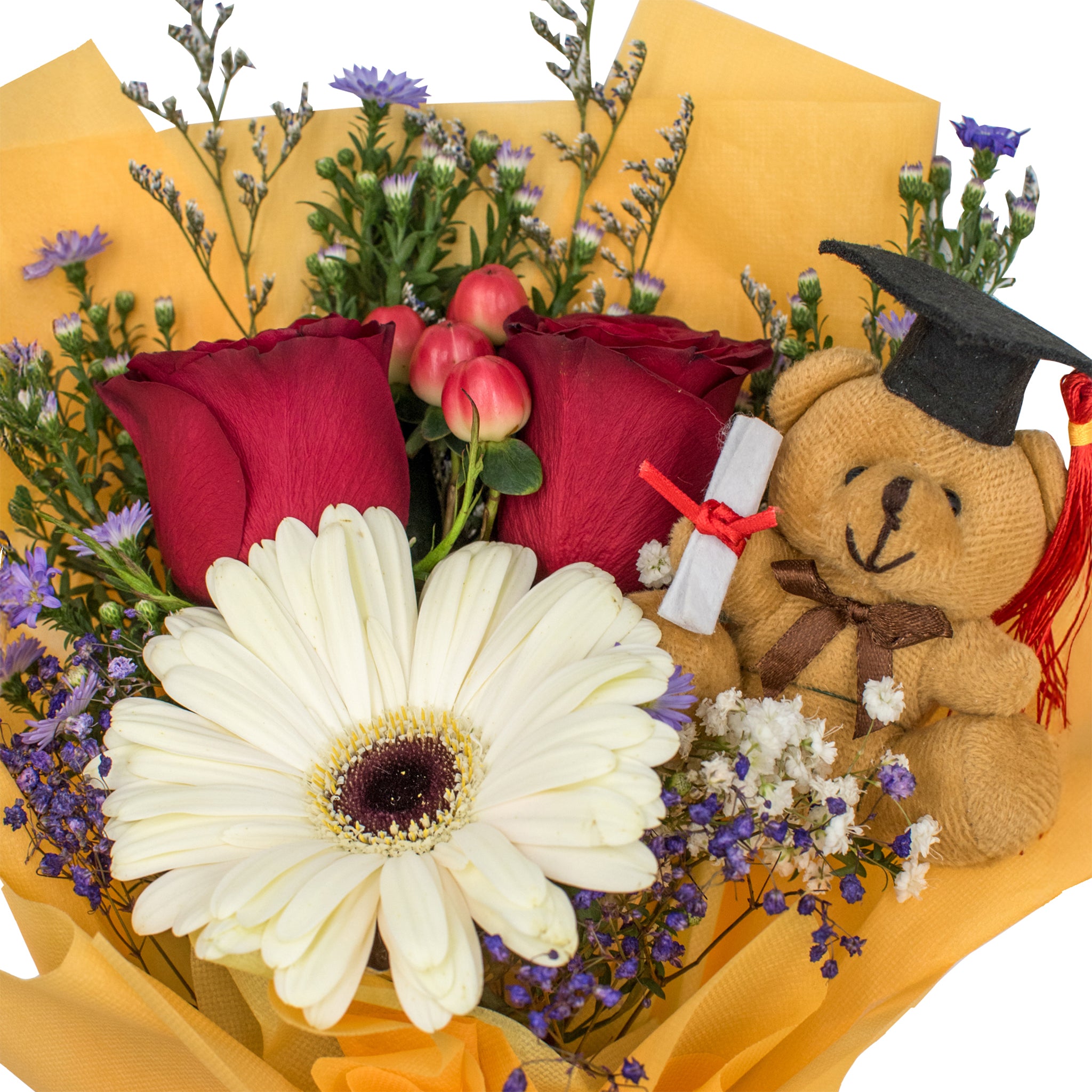 Sunlight w Grad Bear