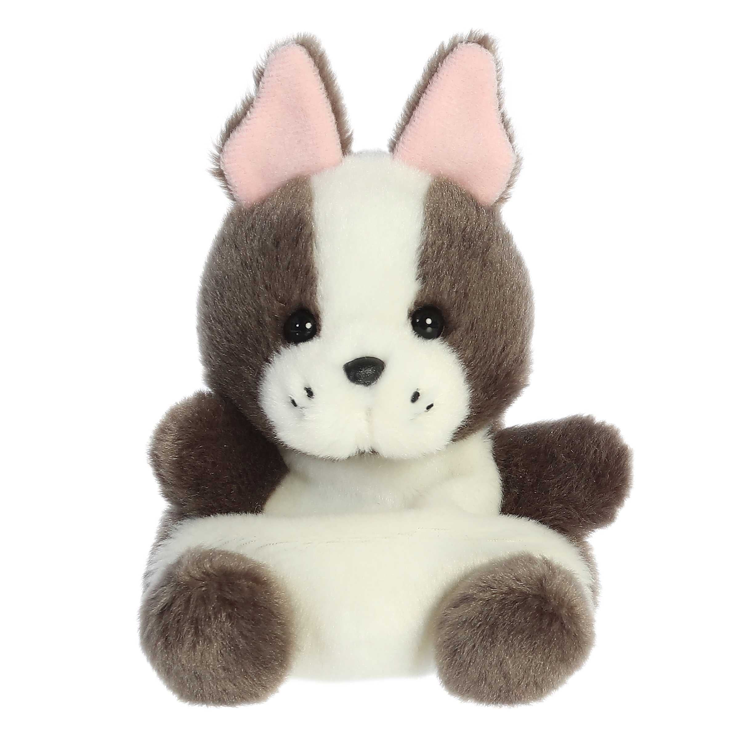 Beau French Bulldog (Small)