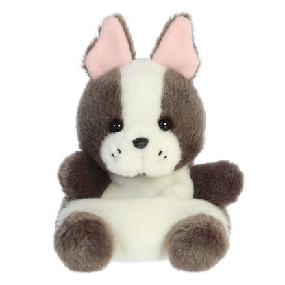Beau French Bulldog (Small)