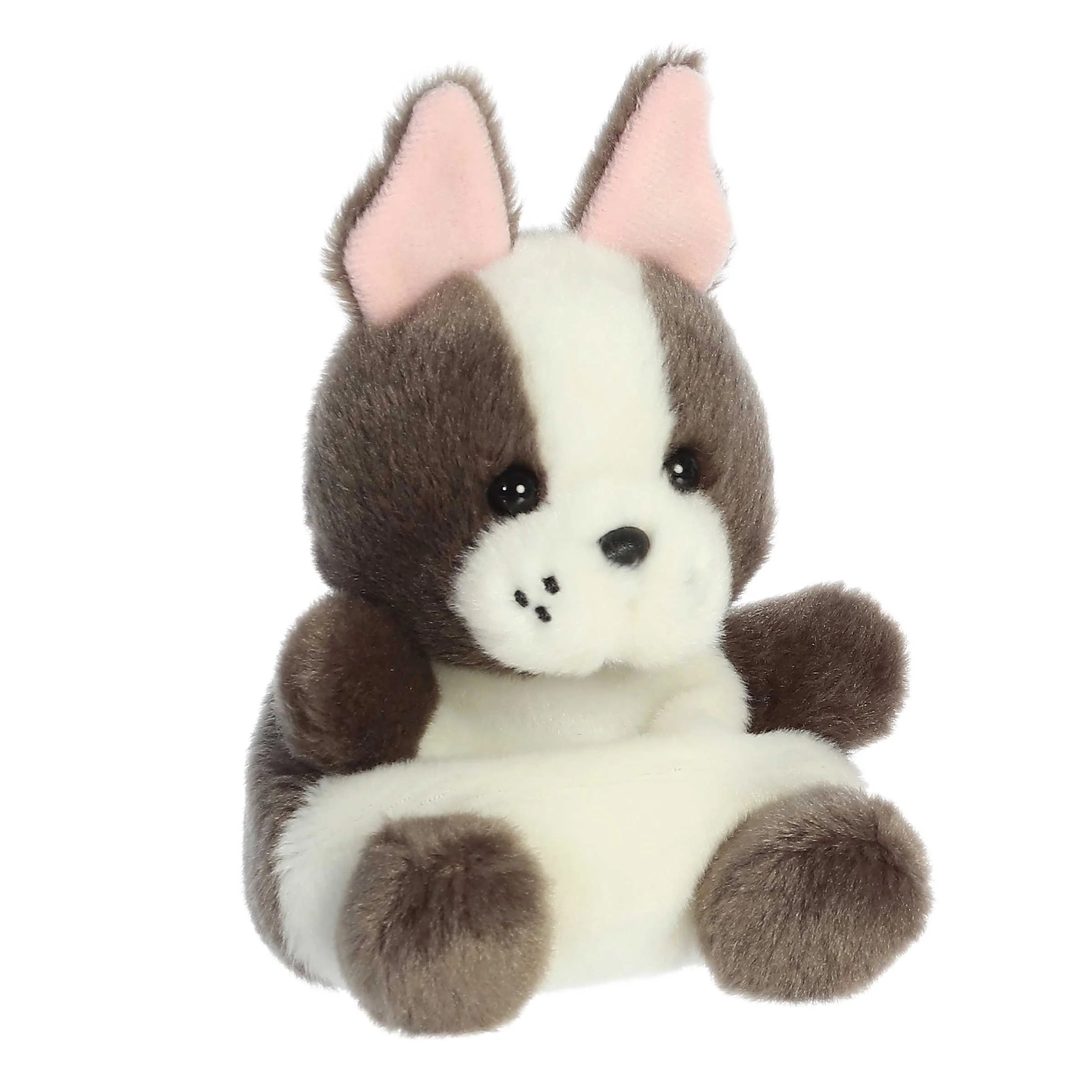 Beau French Bulldog (Small)