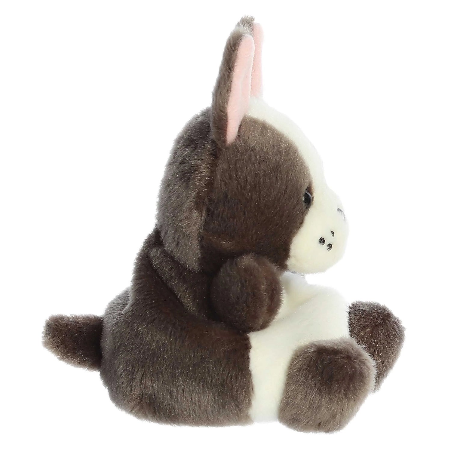 Beau French Bulldog (Small)